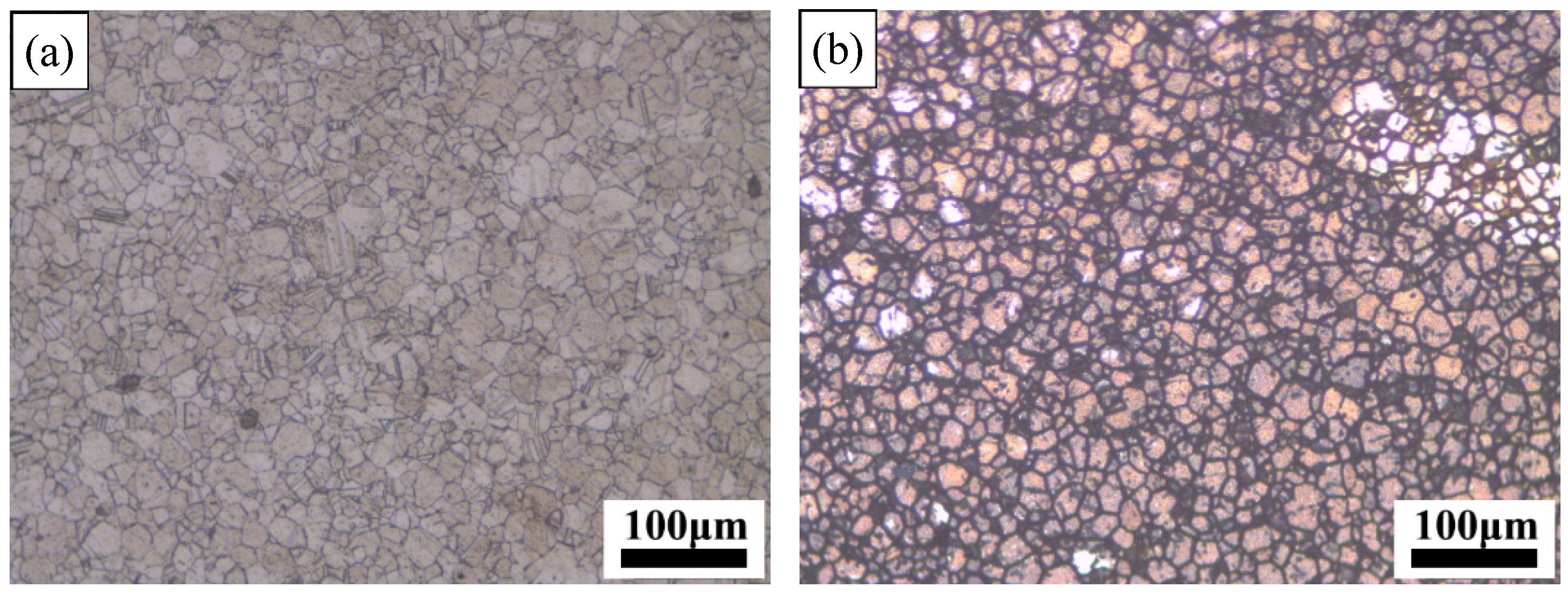 Metals 11 01329 g006 550