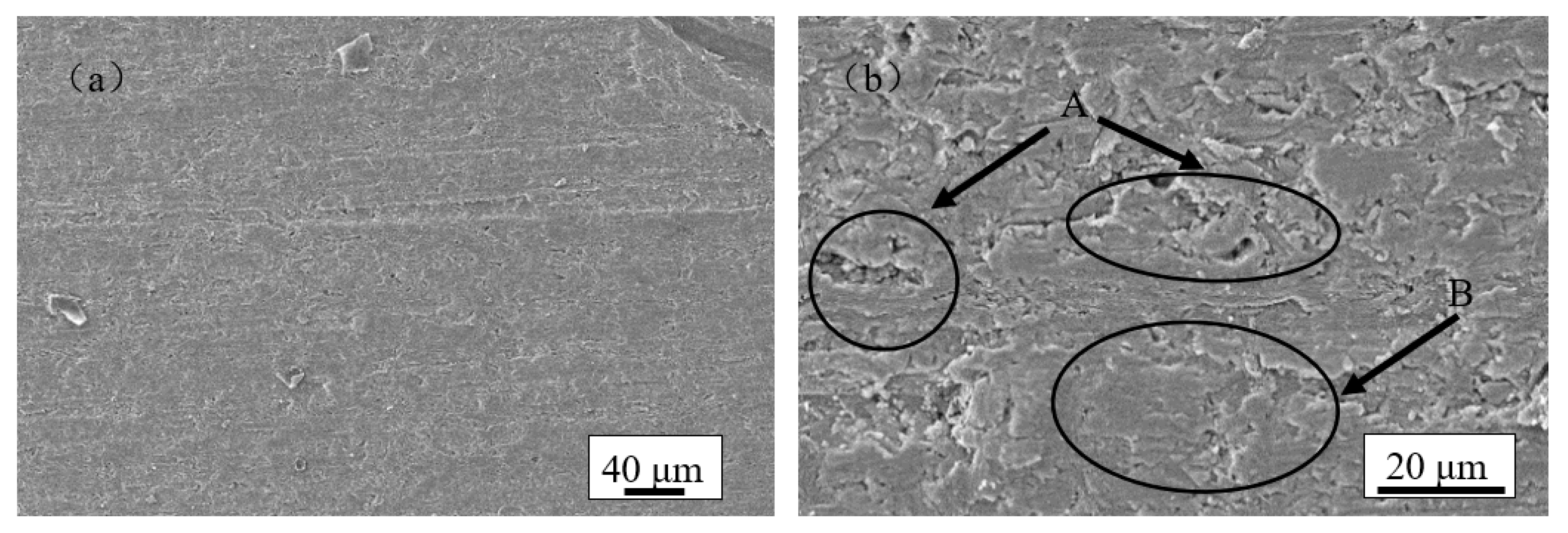 Metals 11 01337 g003