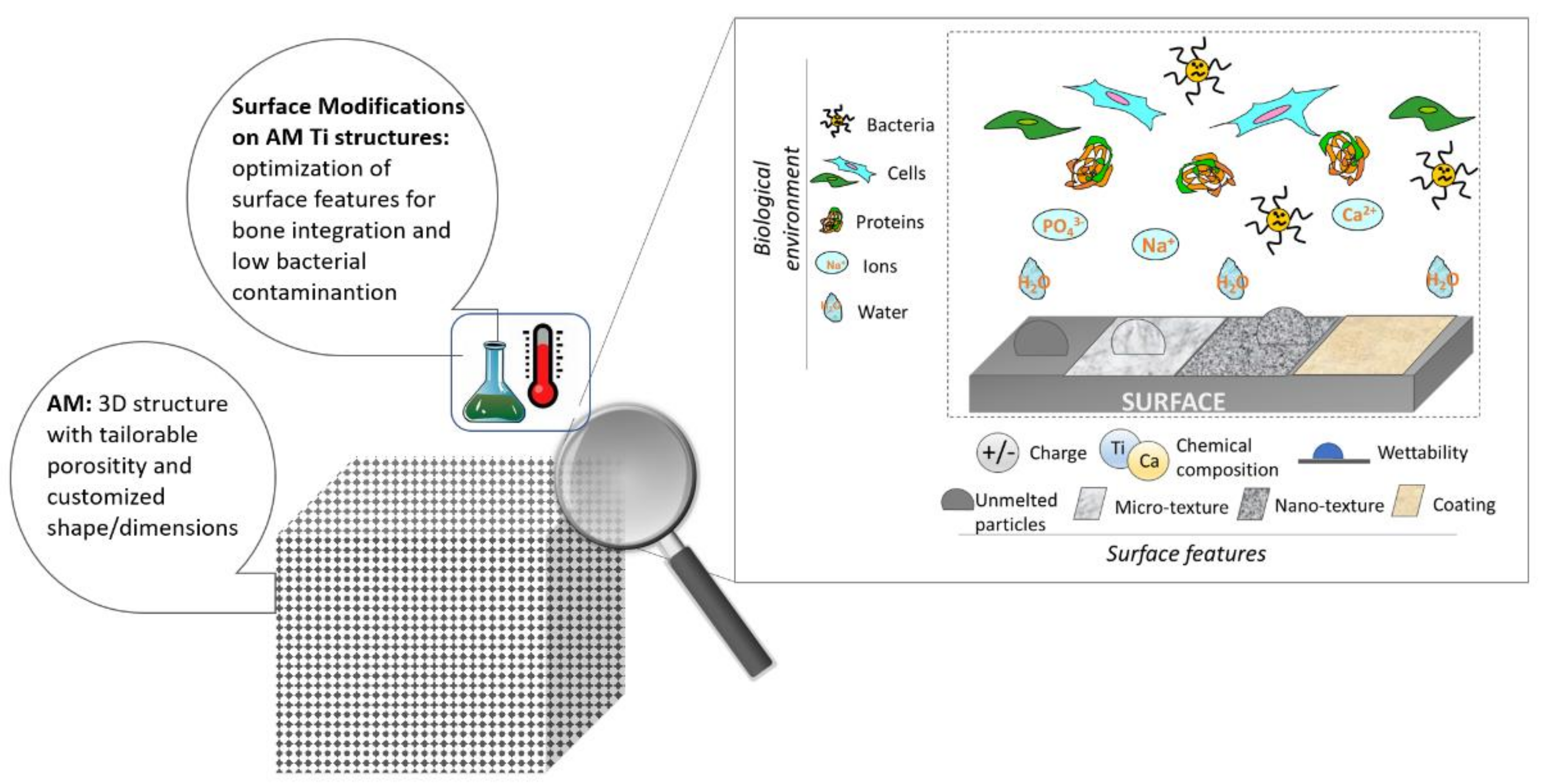 Metals 11 01343 g001 550