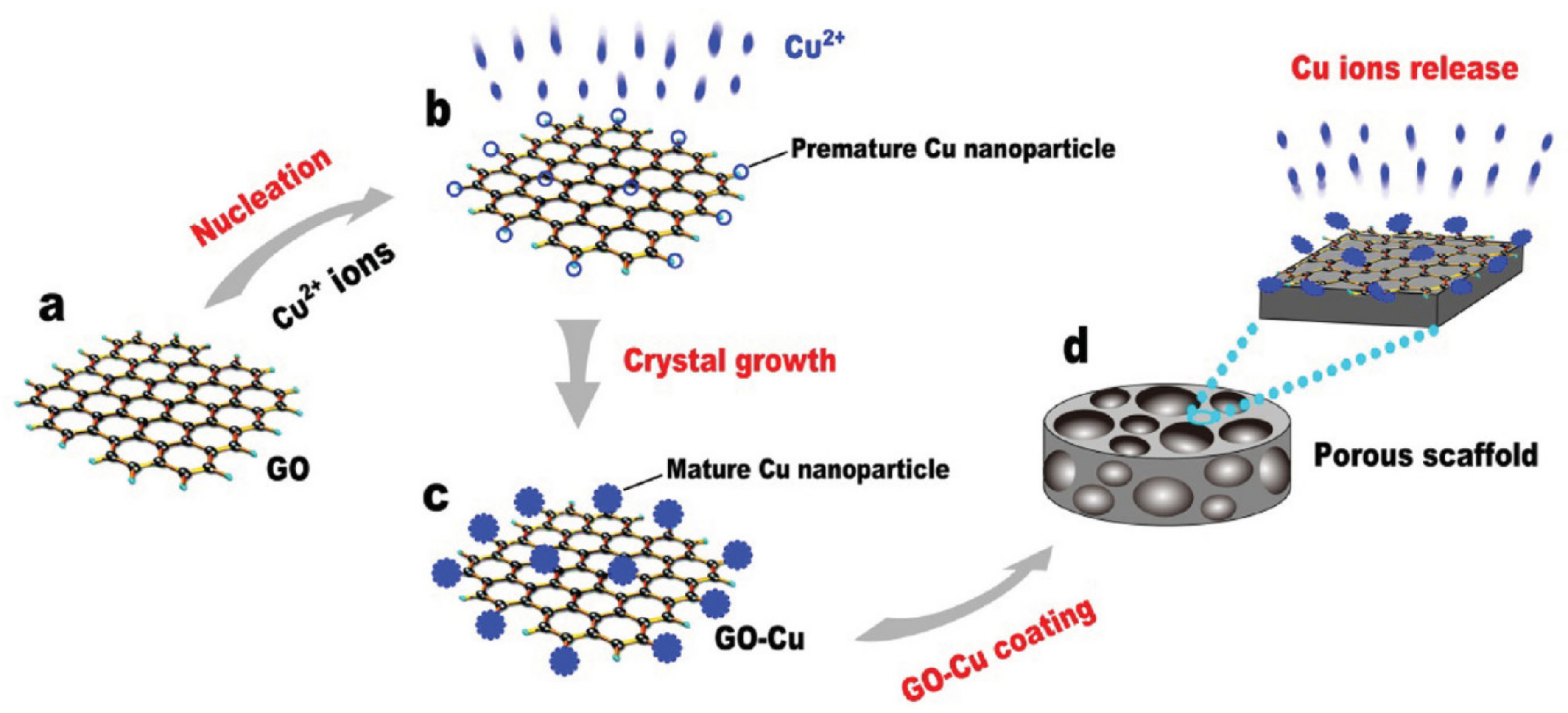 Metals 11 01356 g001 550