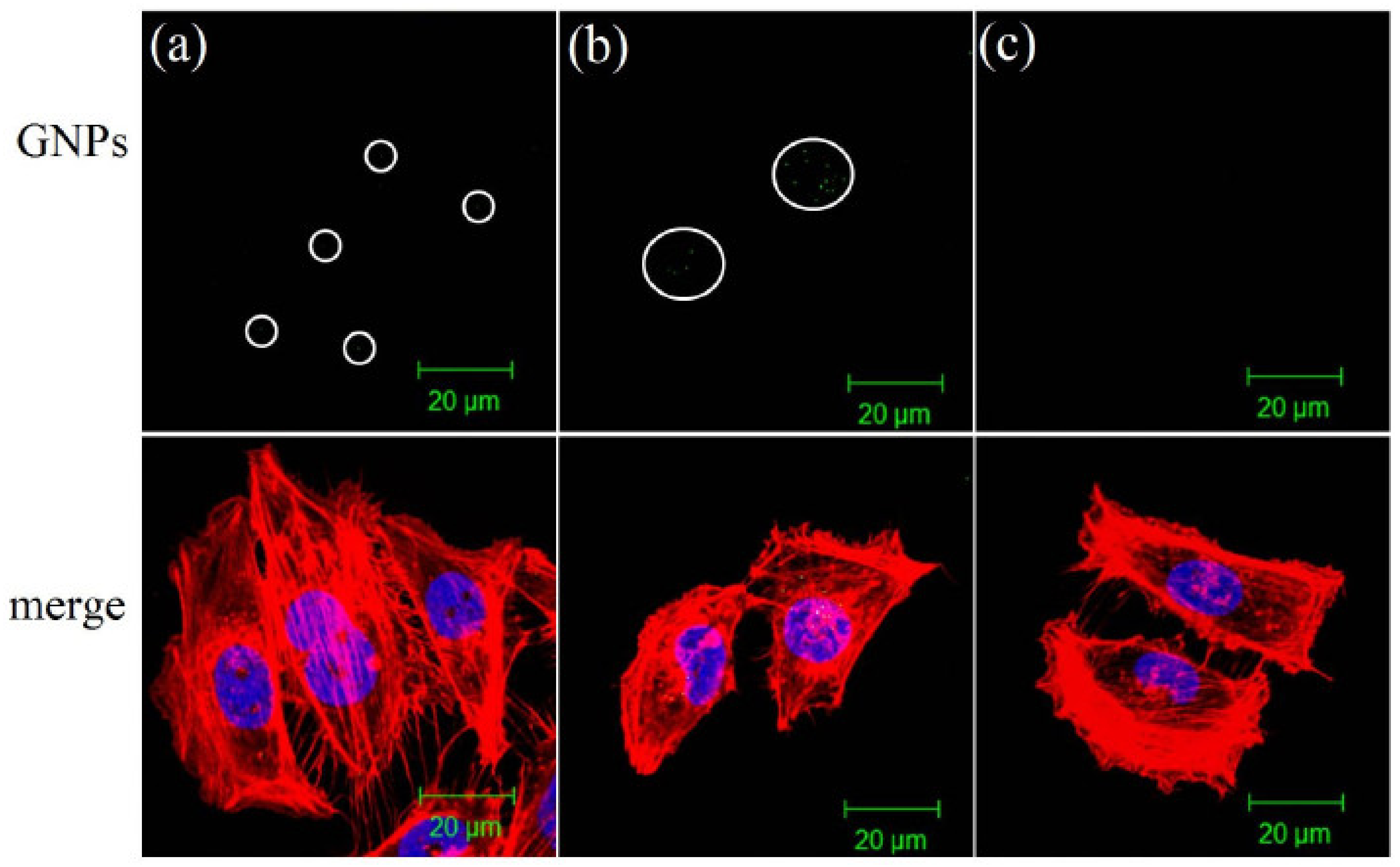 Metals 11 01356 g003 550