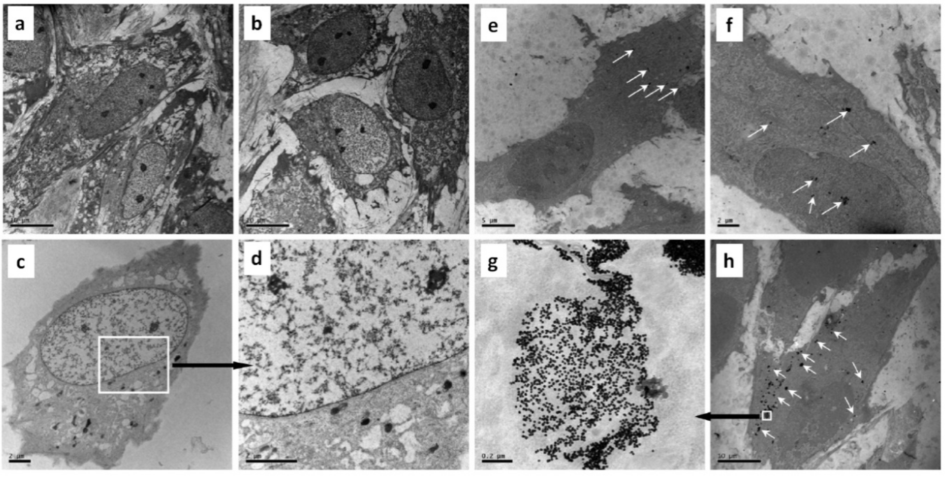 Metals 11 01356 g004 550