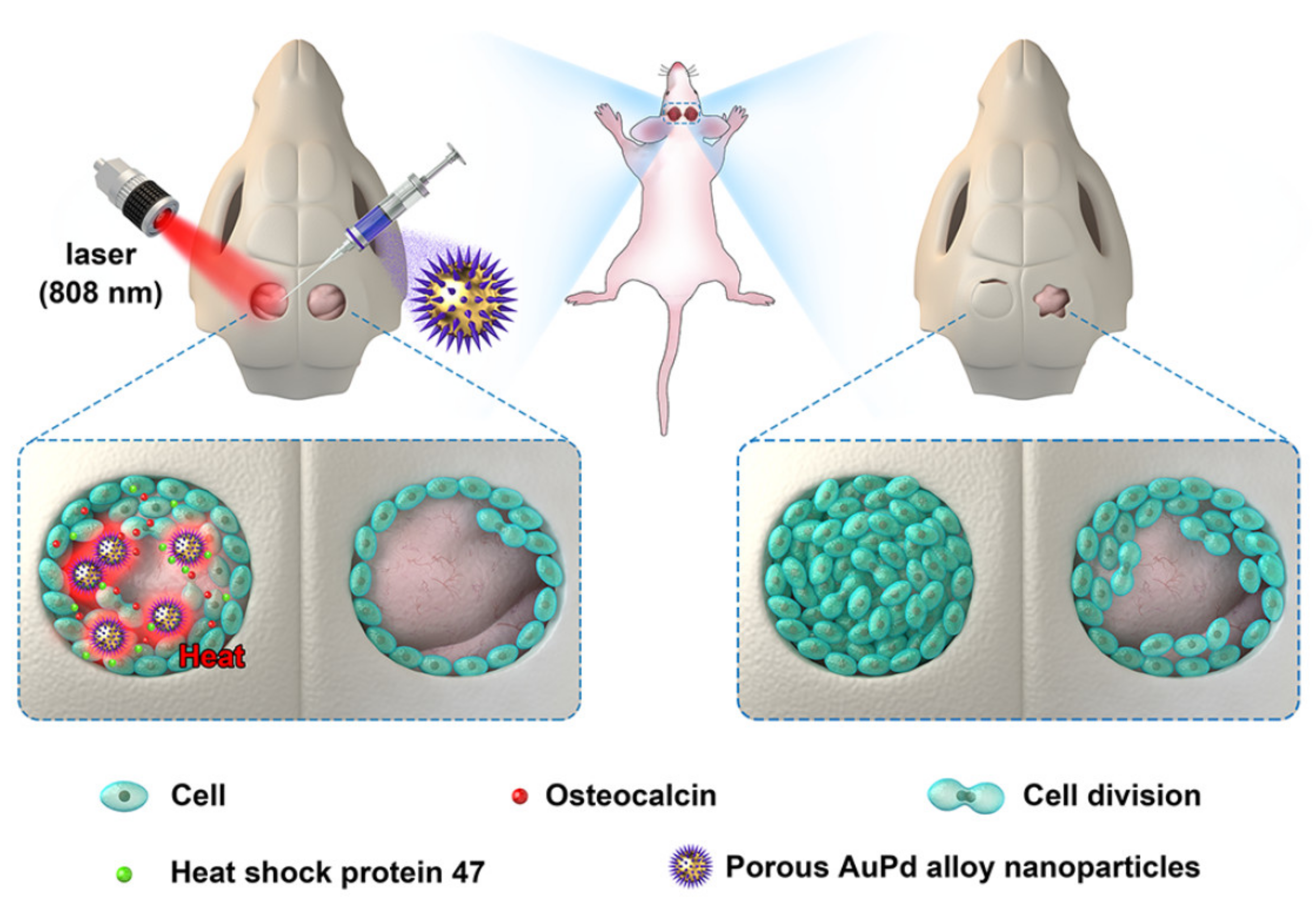 Metals 11 01356 g005 550