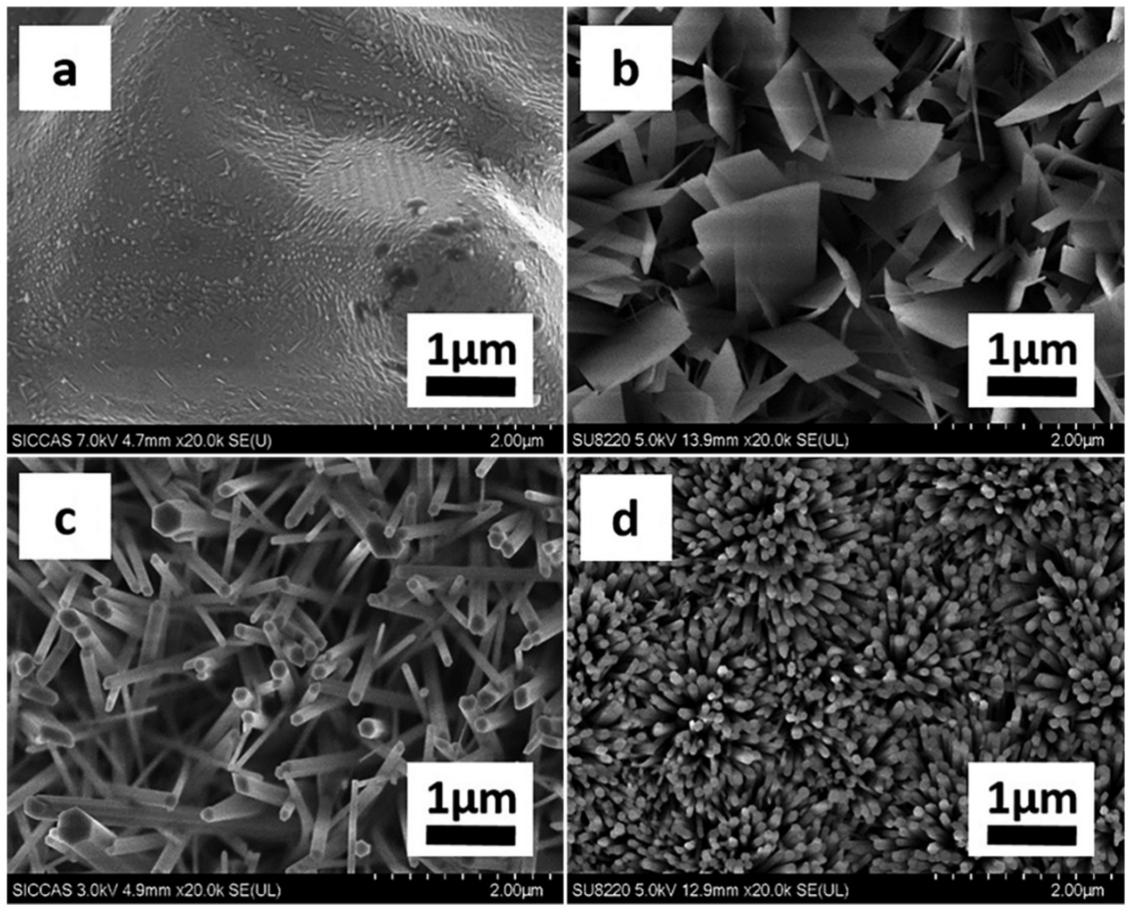 Metals 11 01356 g006 550