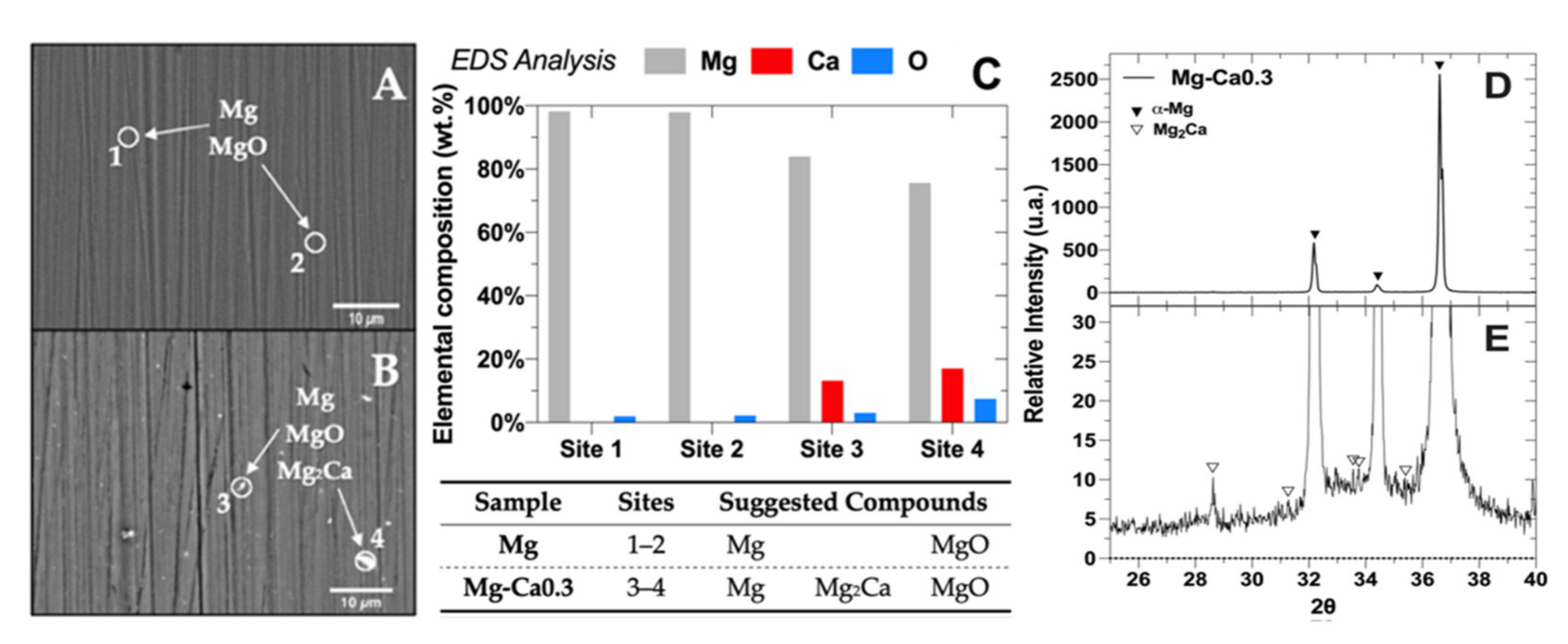Metals 11 01357 g001