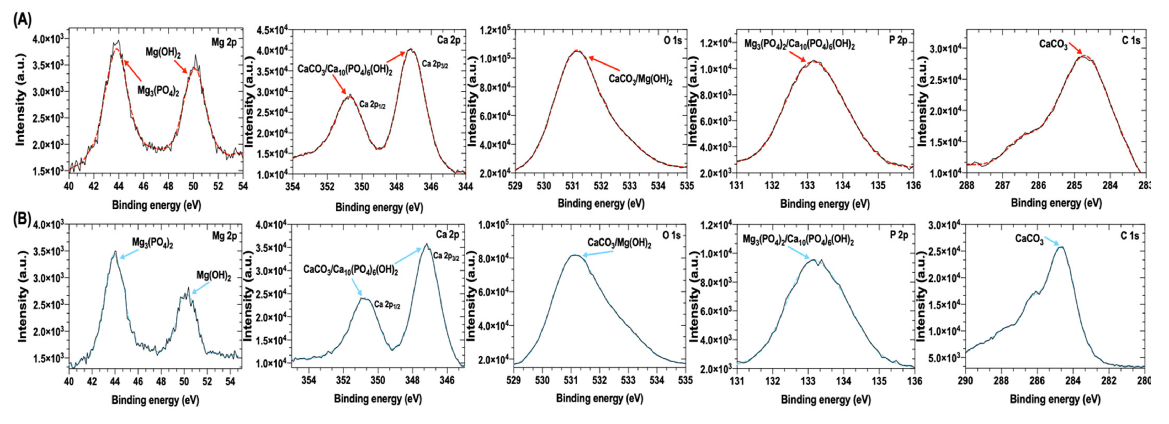 Metals 11 01357 g005
