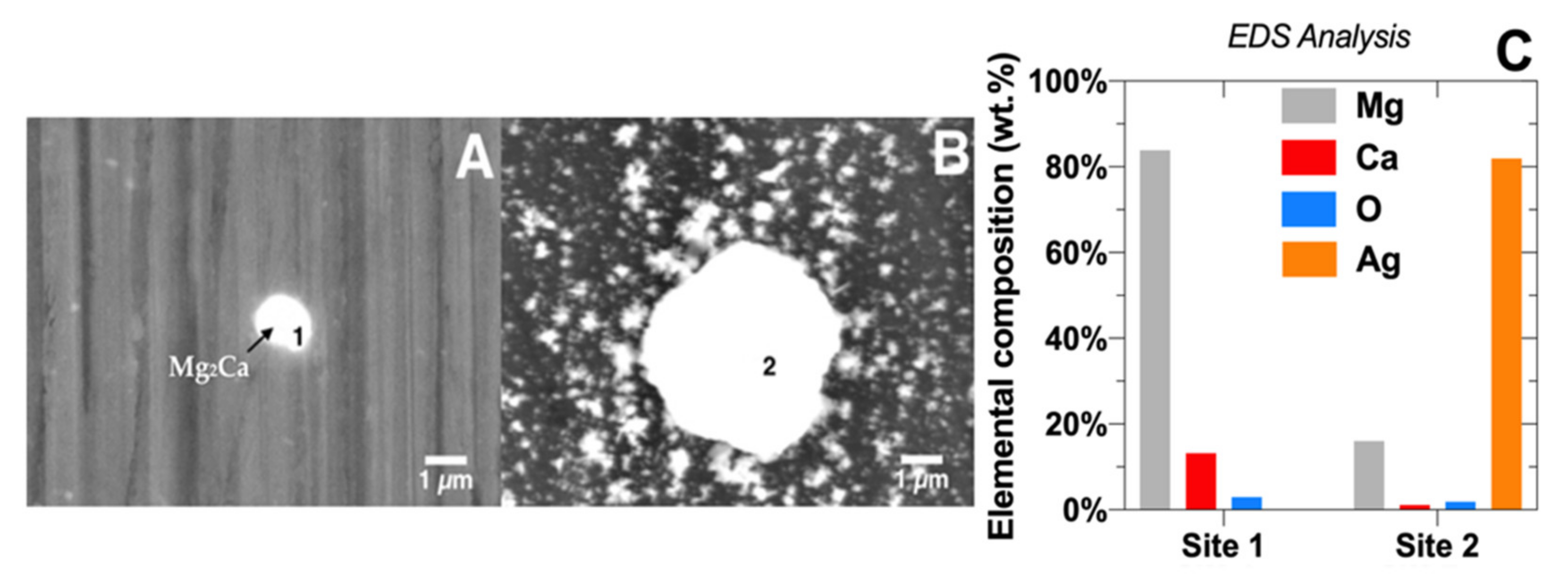 Metals 11 01357 g011
