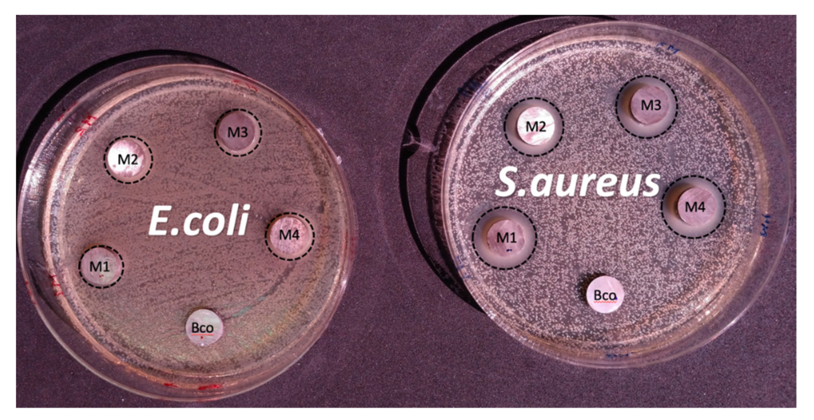 Metals 11 01357 g015