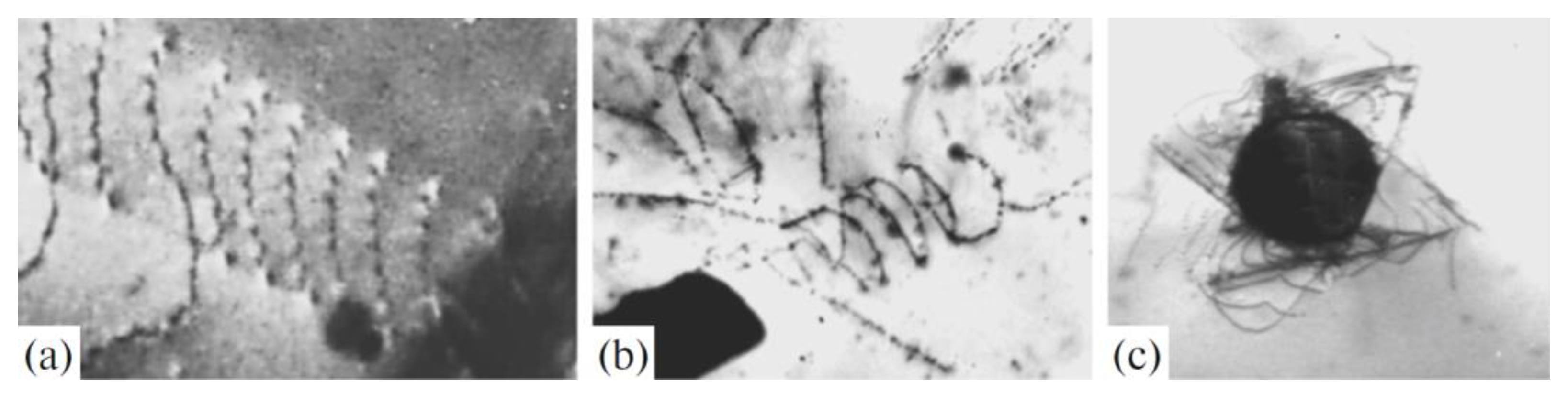 Metals 11 01359 g002 550