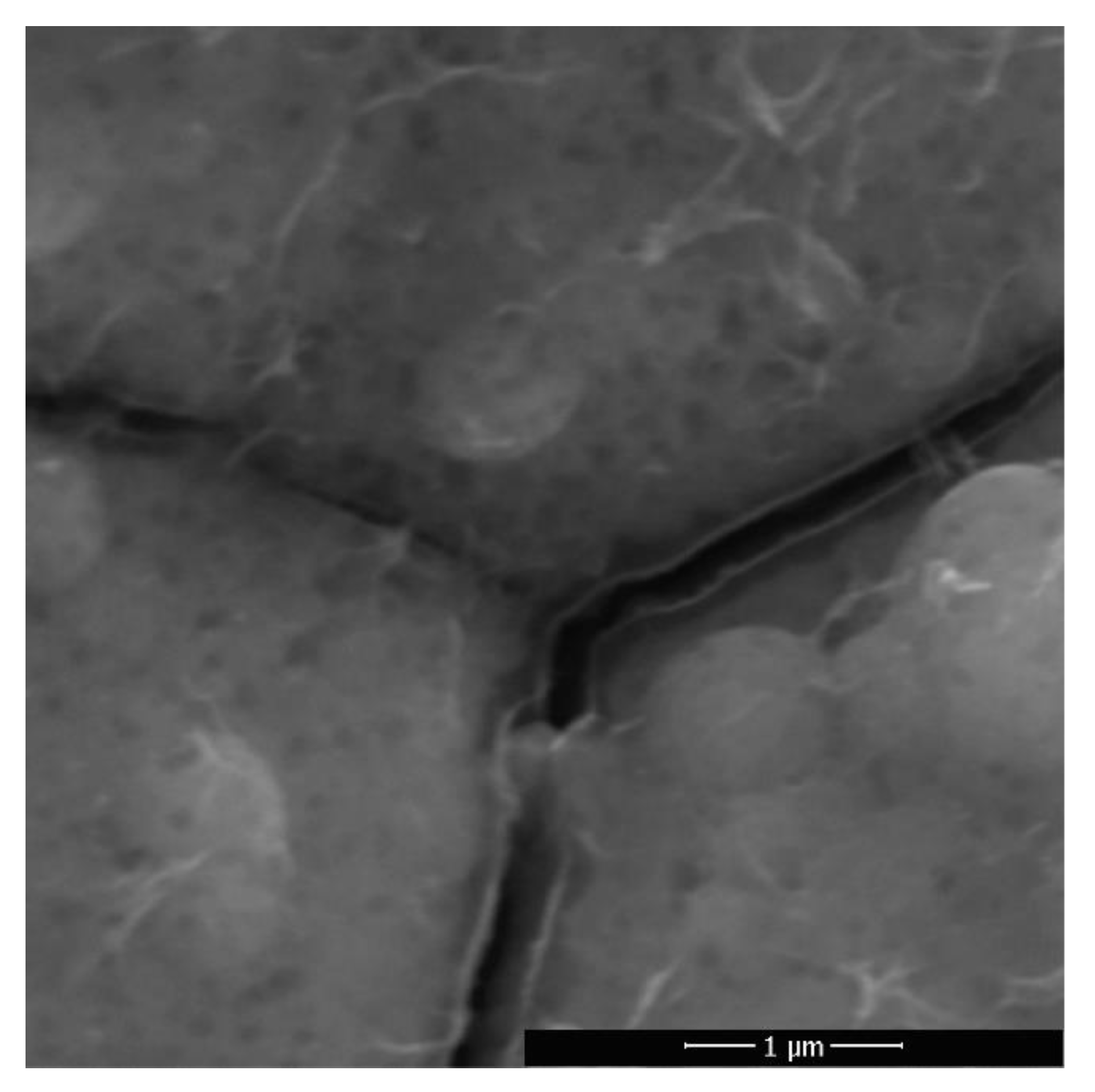 Metals 11 01359 g006 550