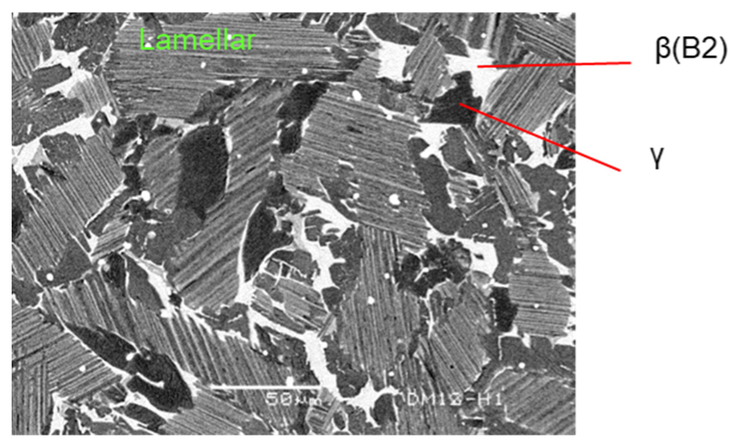 Metals 11 01361 g005 550