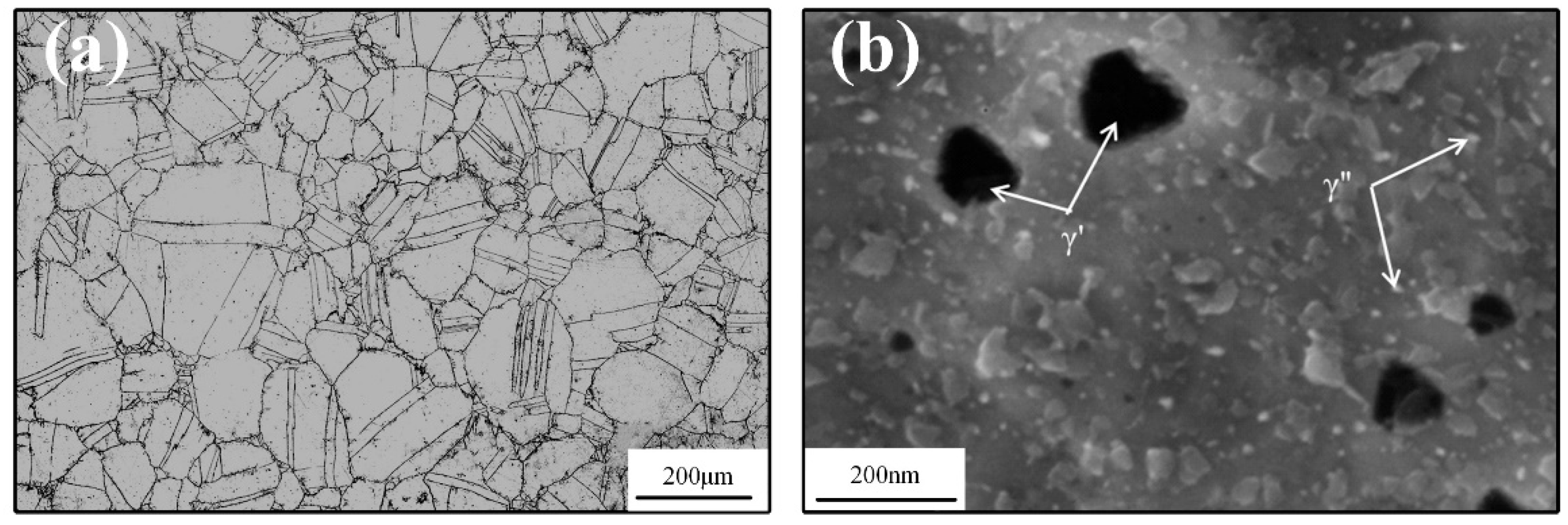 Metals 11 01367 g001