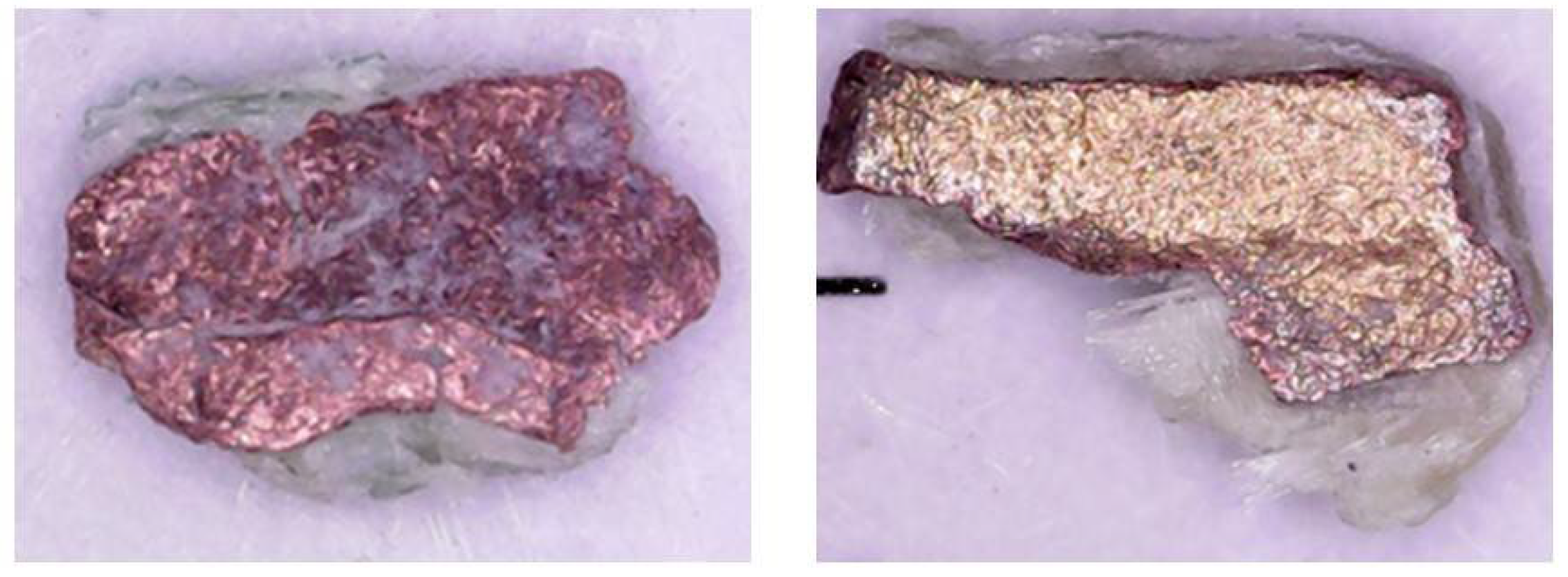 Metals 11 01369 g010 550