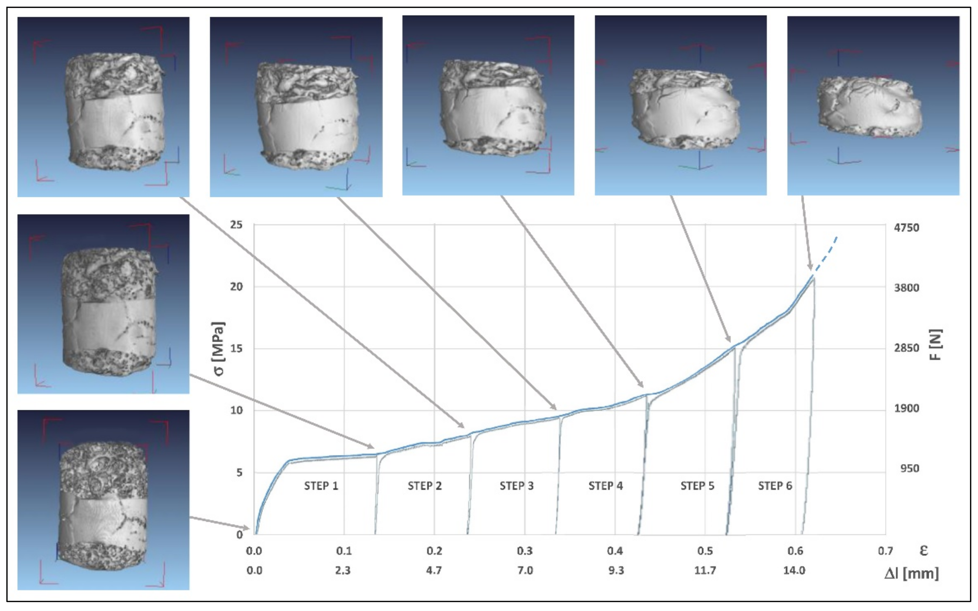 Metals 11 01370 g006