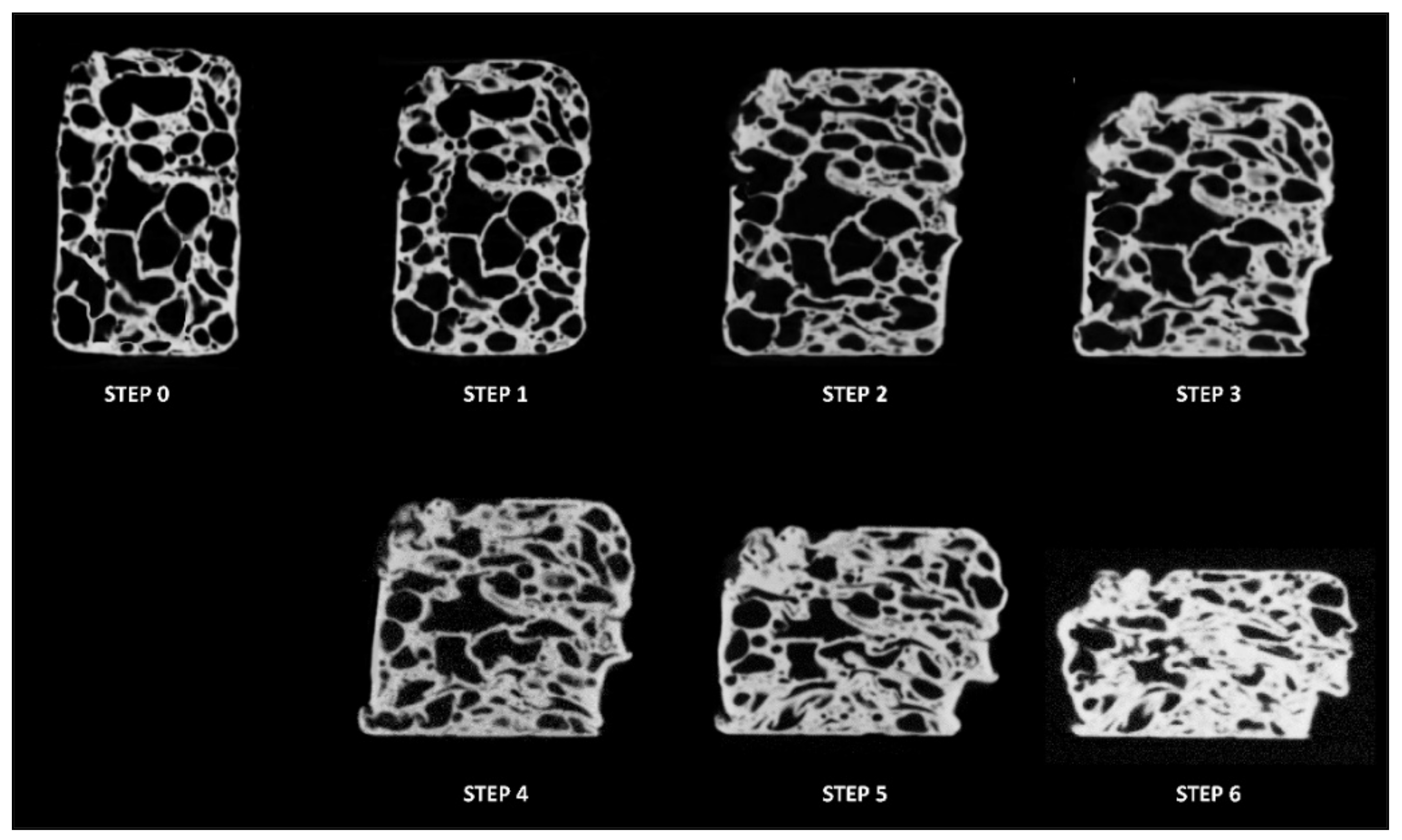 Metals 11 01370 g007