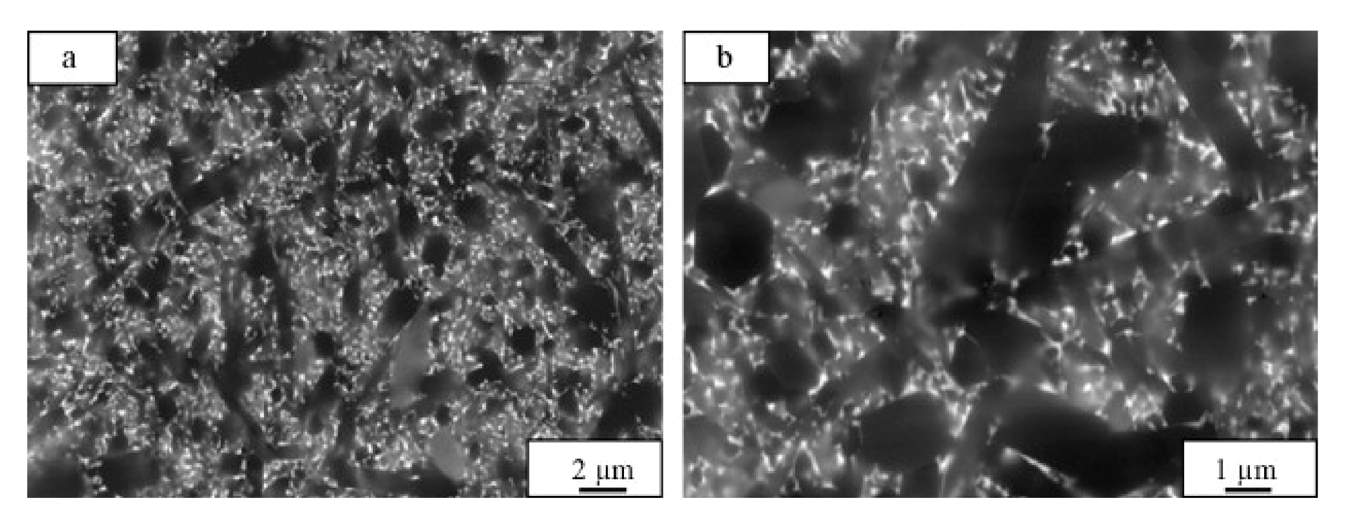 Metals 11 01385 g003 Metals 11 01385 g003