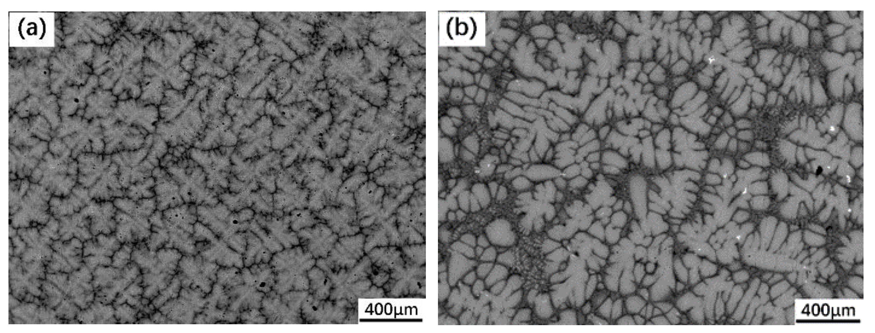 Metals 11 01386 g001 550