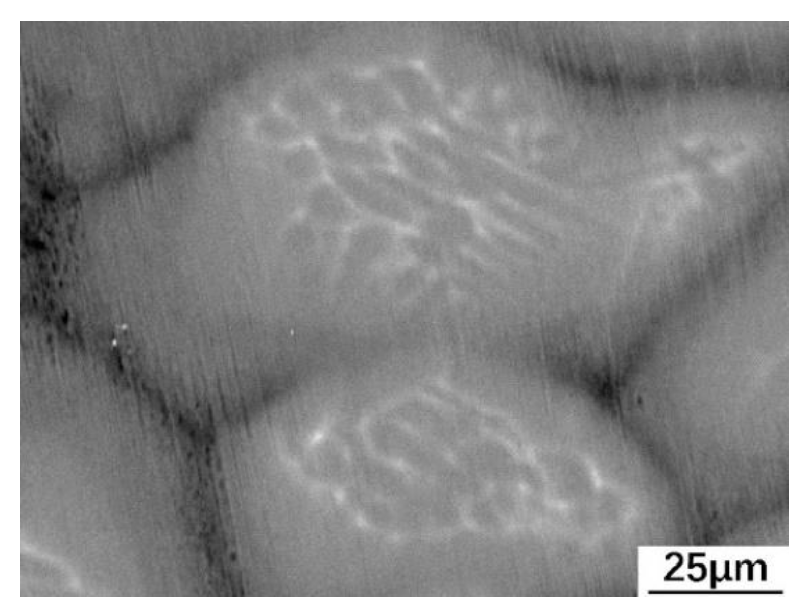 Metals 11 01386 g004 550