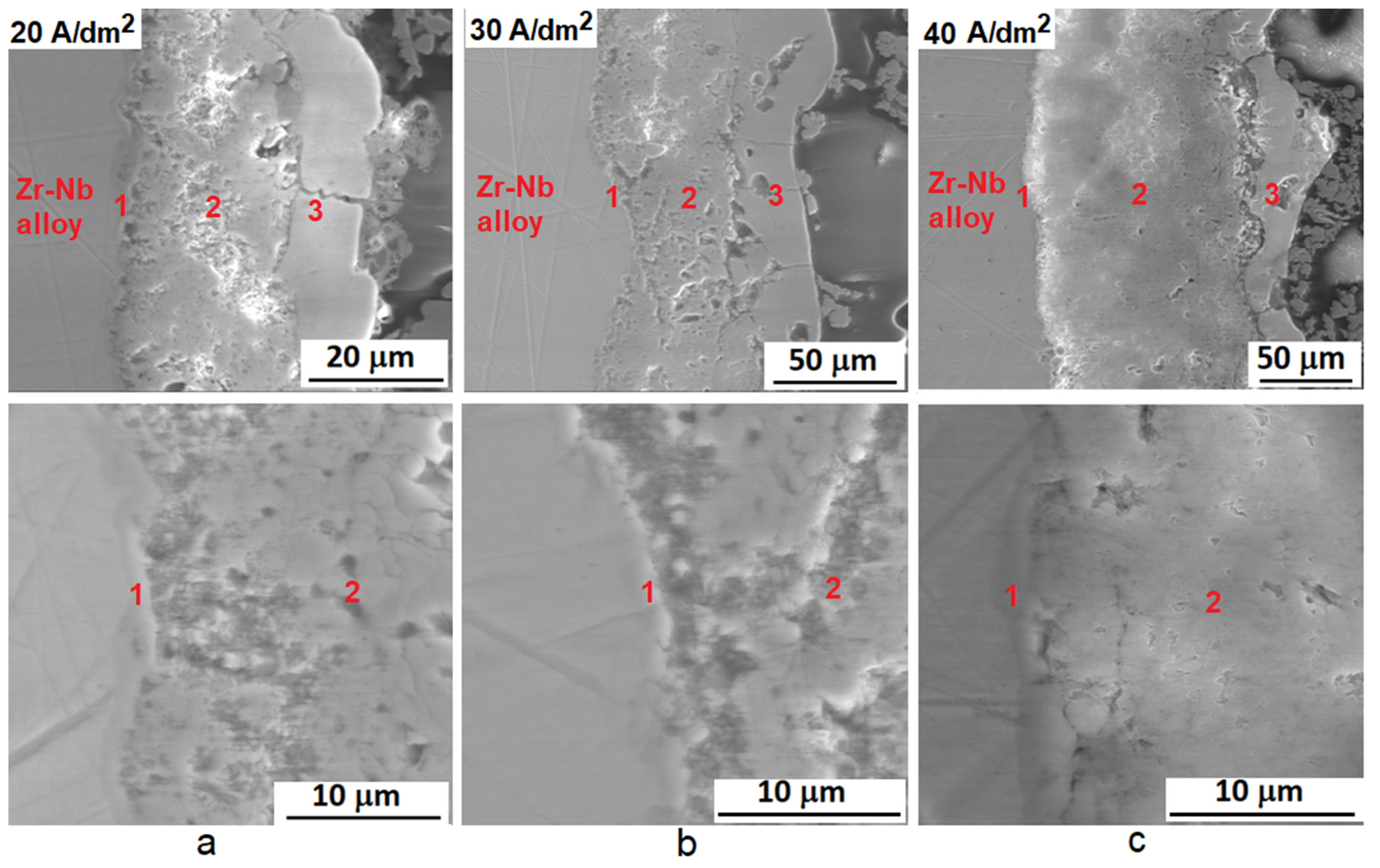 Metals 11 01392 g003