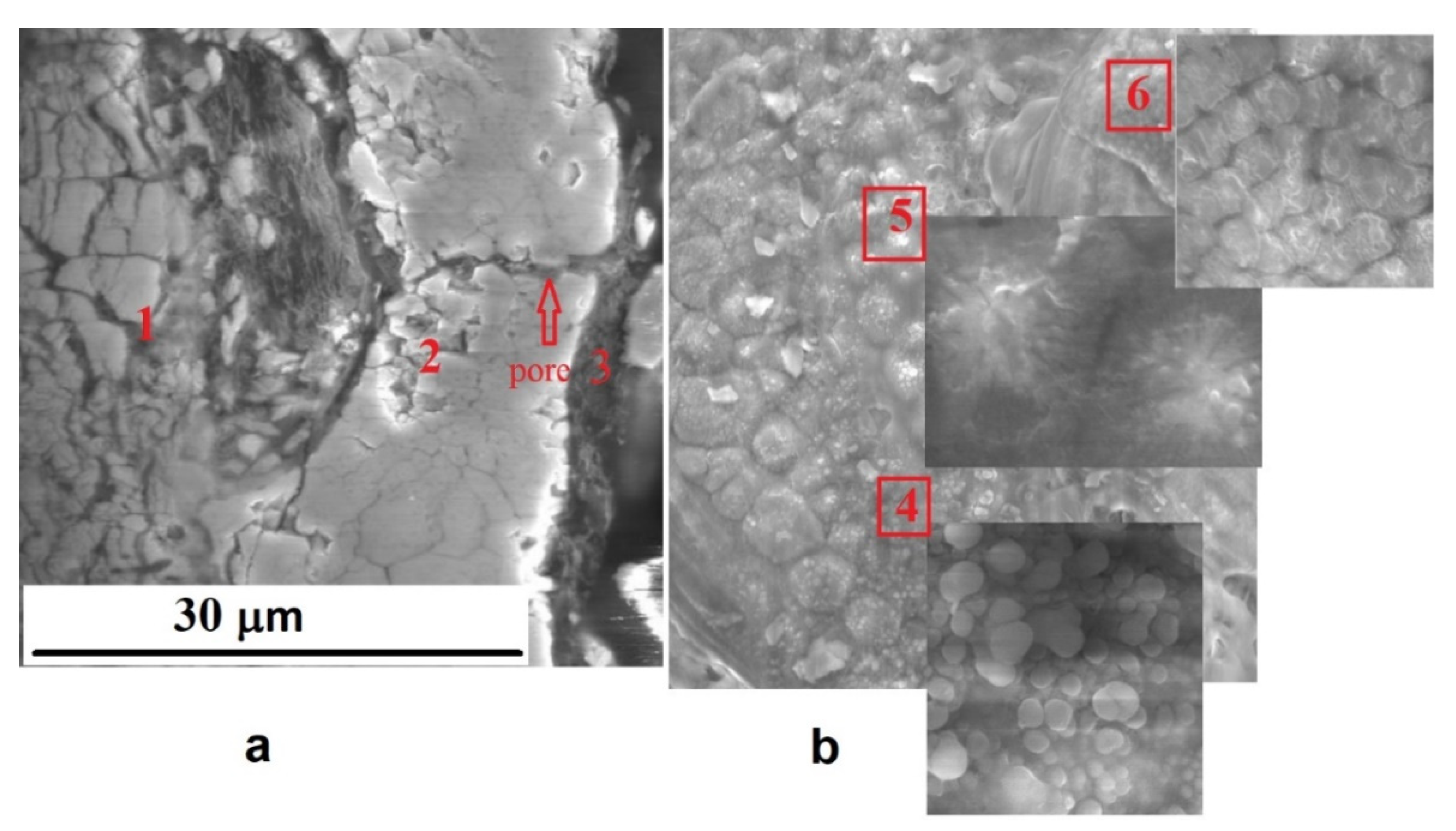 Metals 11 01392 g006