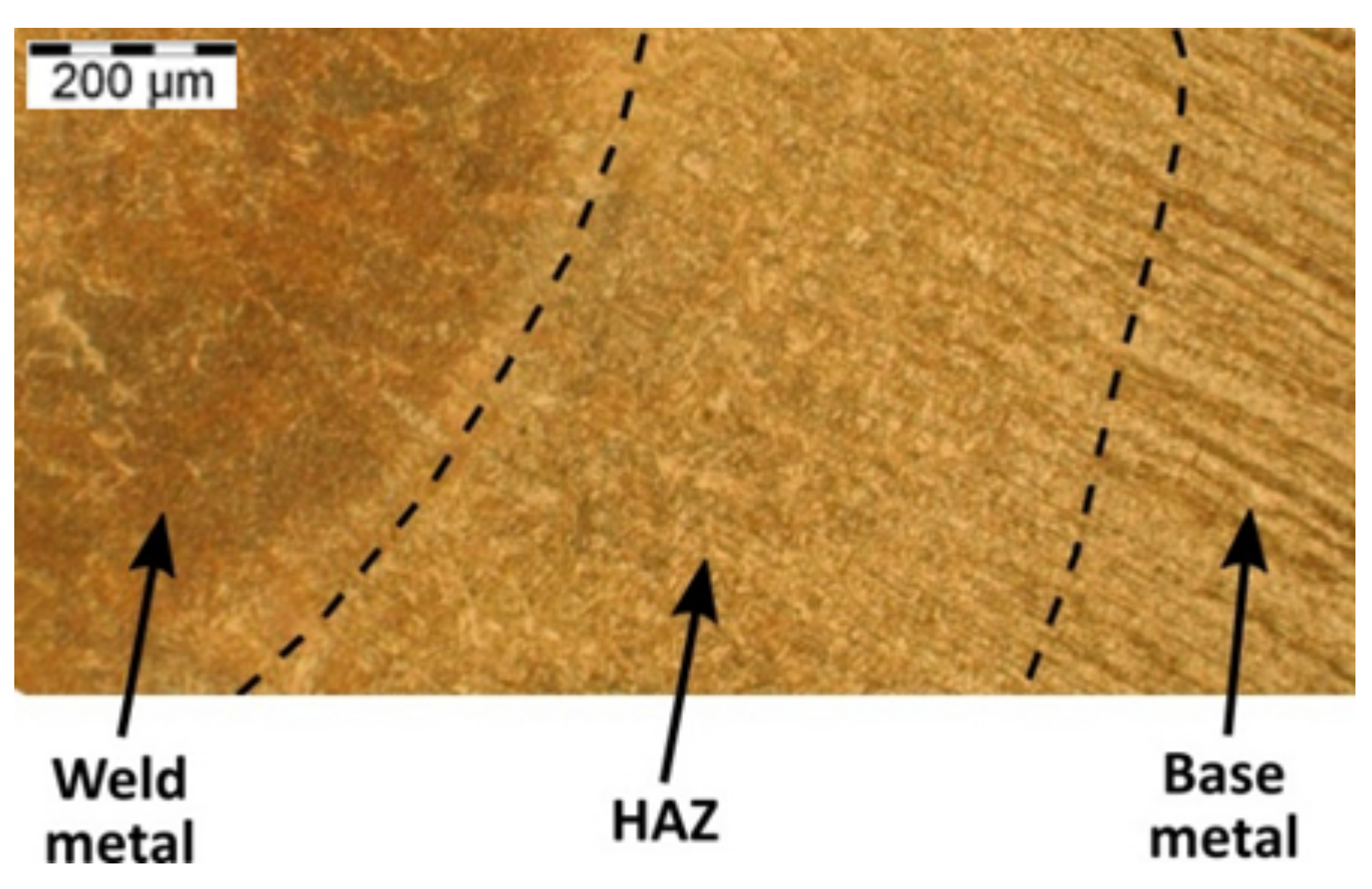 Metals 11 01394 g006