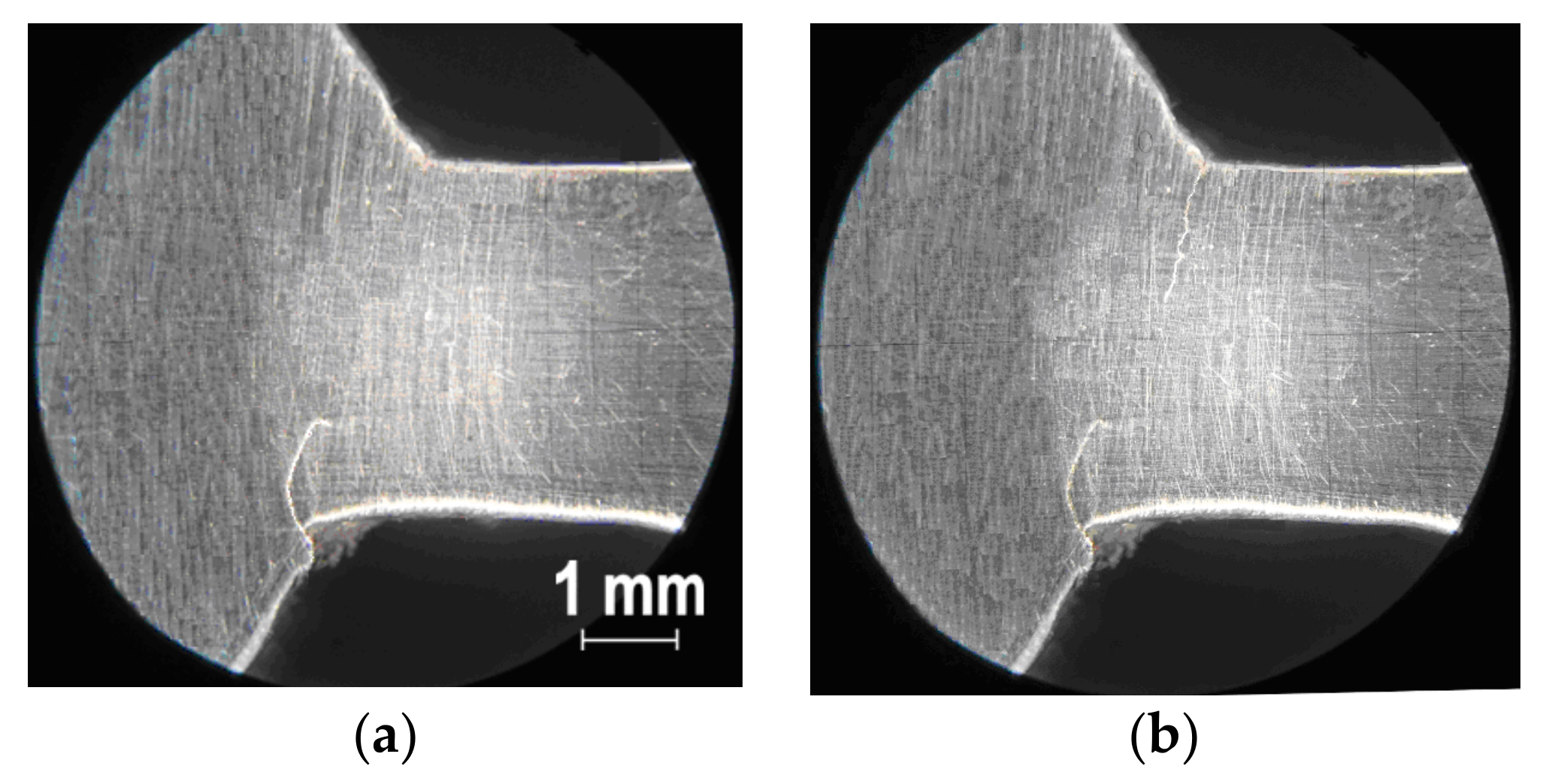 Metals 11 01394 g012