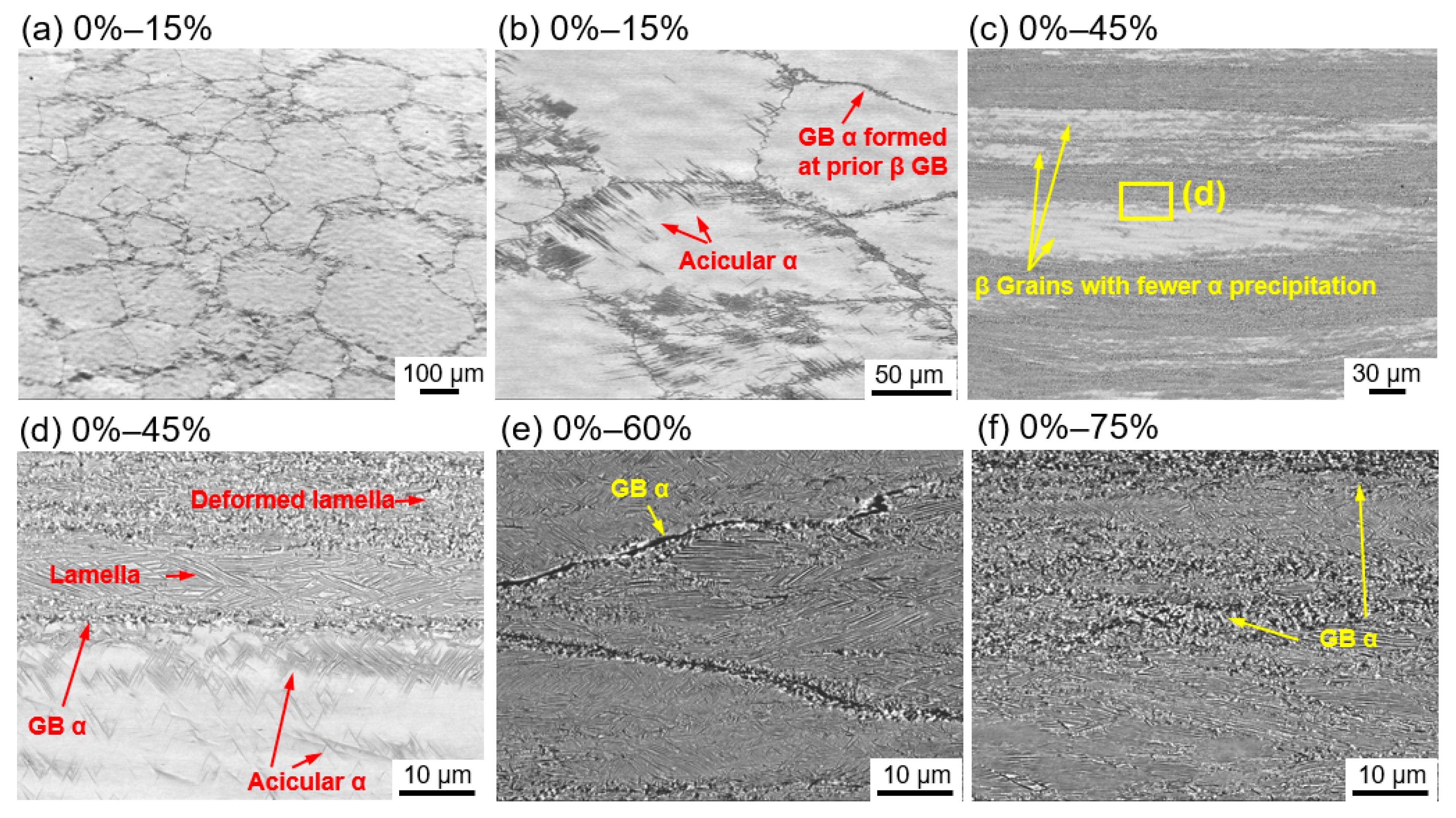 Metals 11 01405 g003 550
