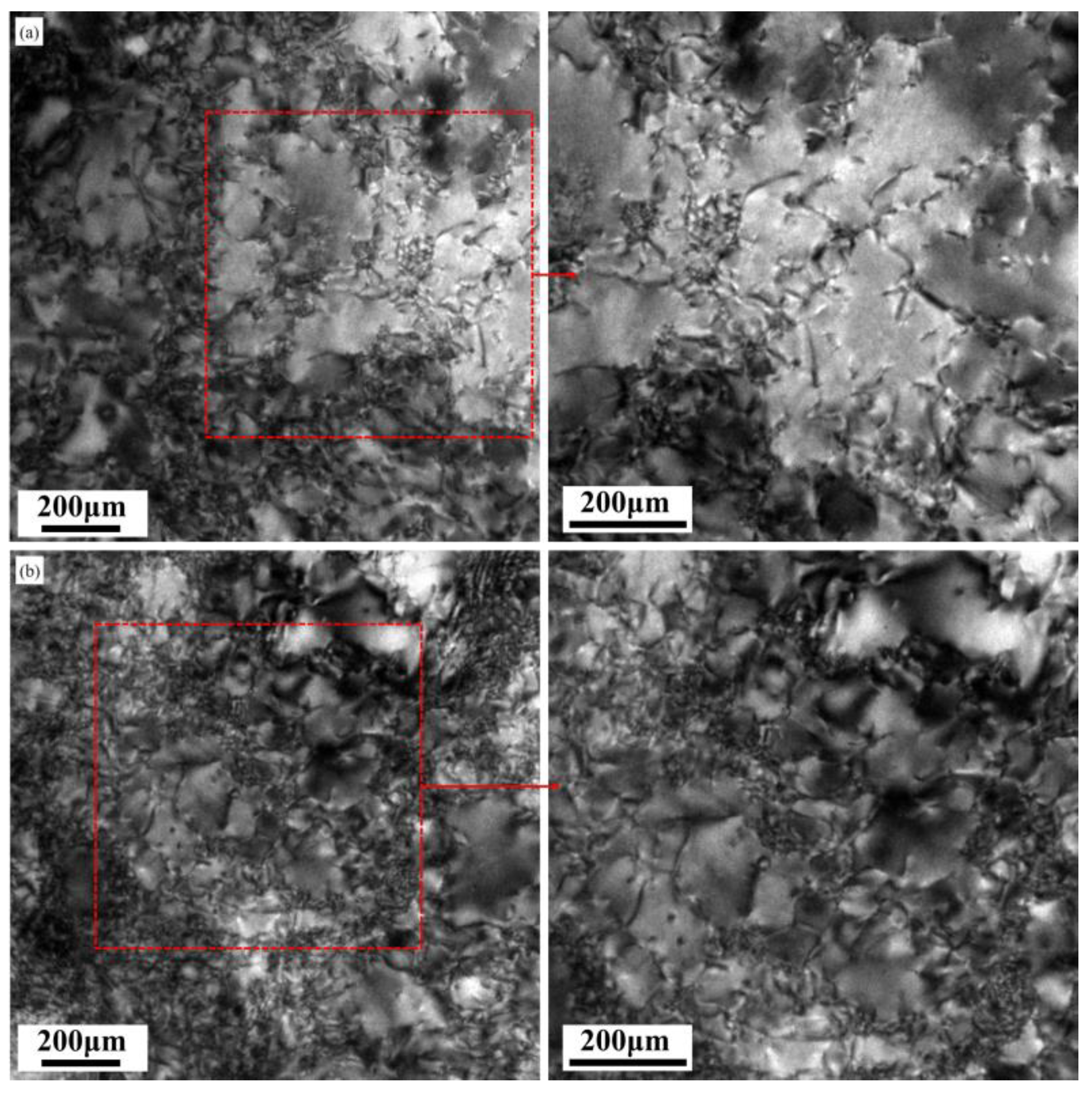 Metals 11 01406 g014 550