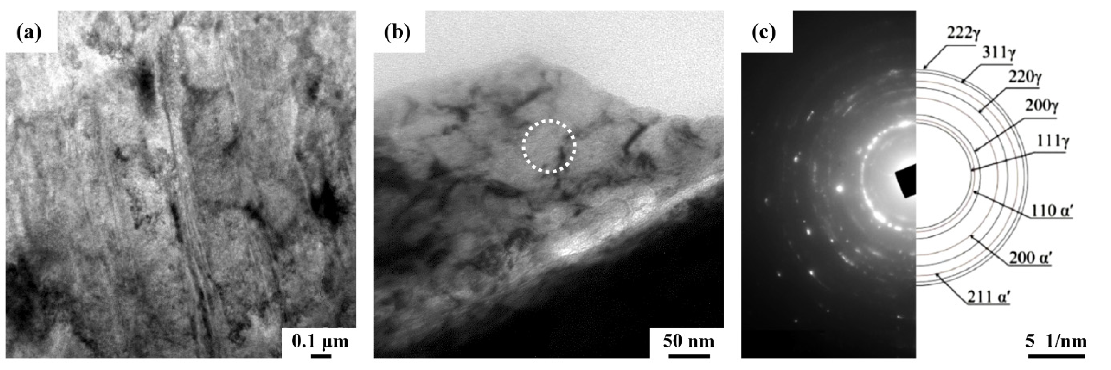 Metals 11 01408 g008