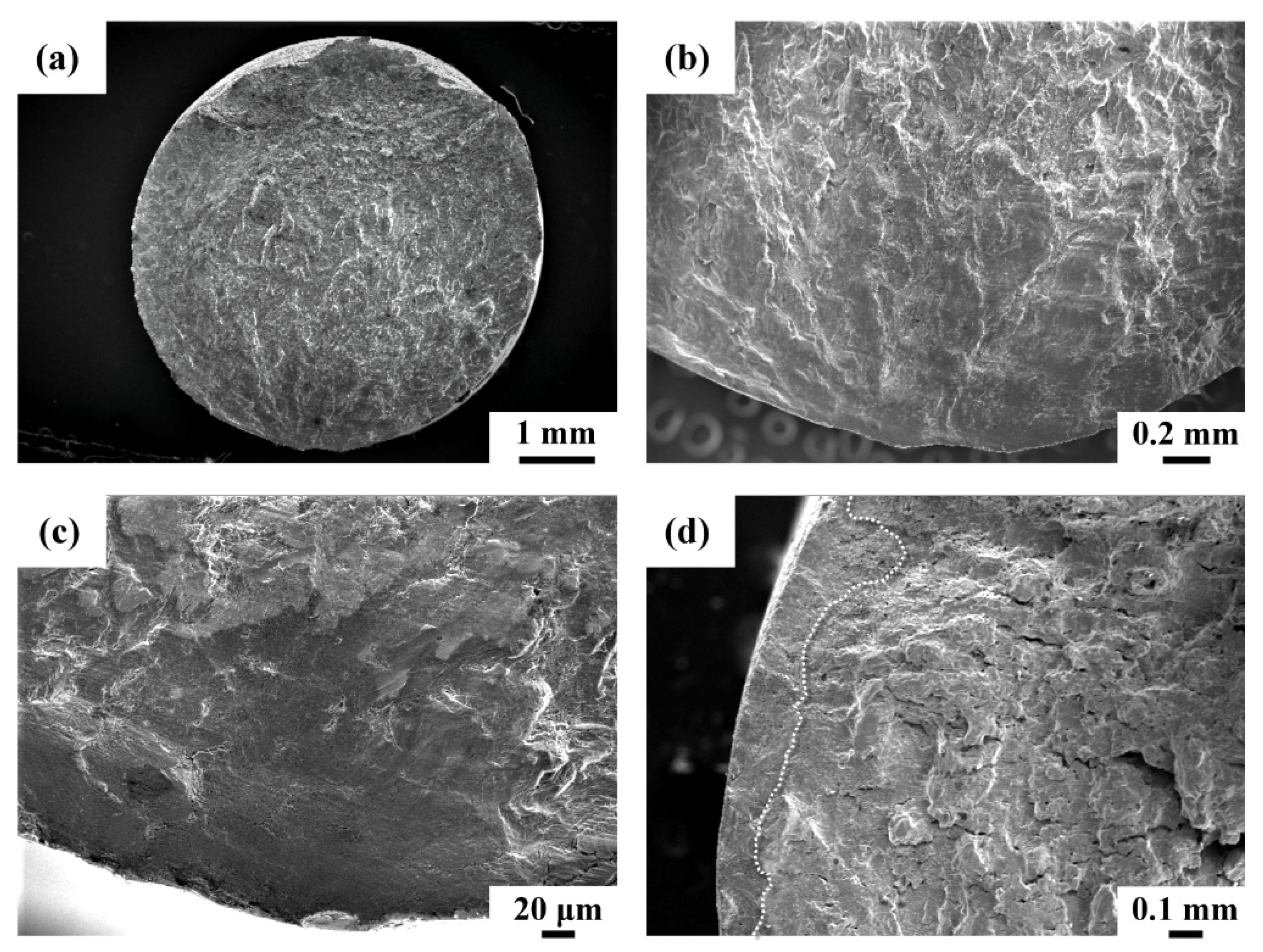 Metals 11 01408 g012