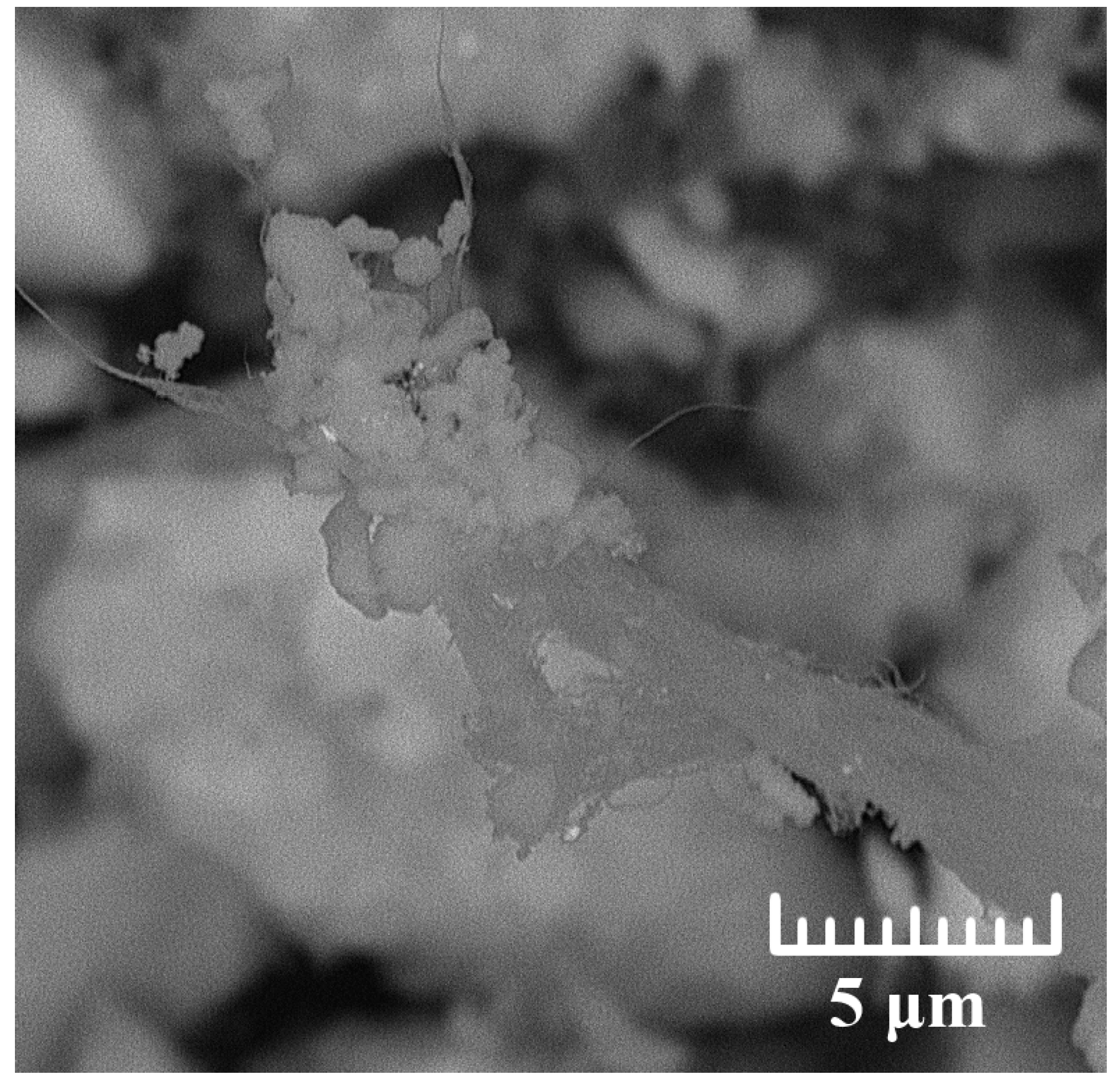 Metals 11 01409 g003