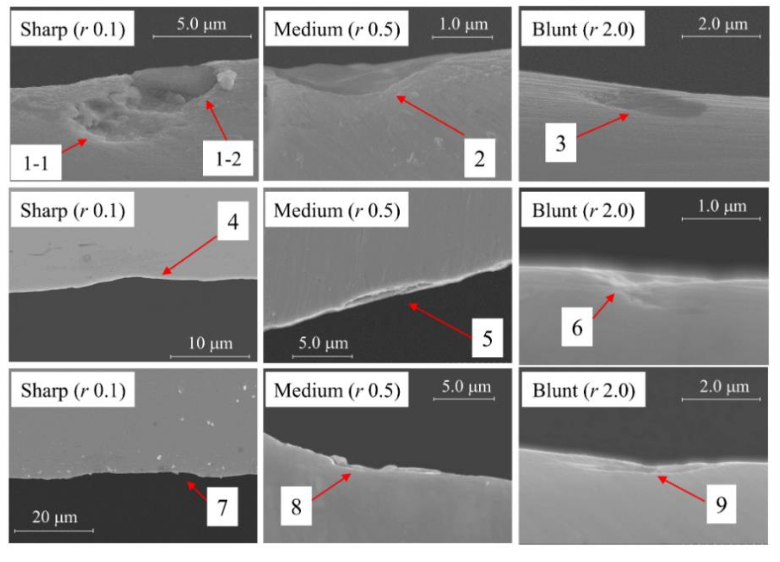 Metals 11 01415 g005