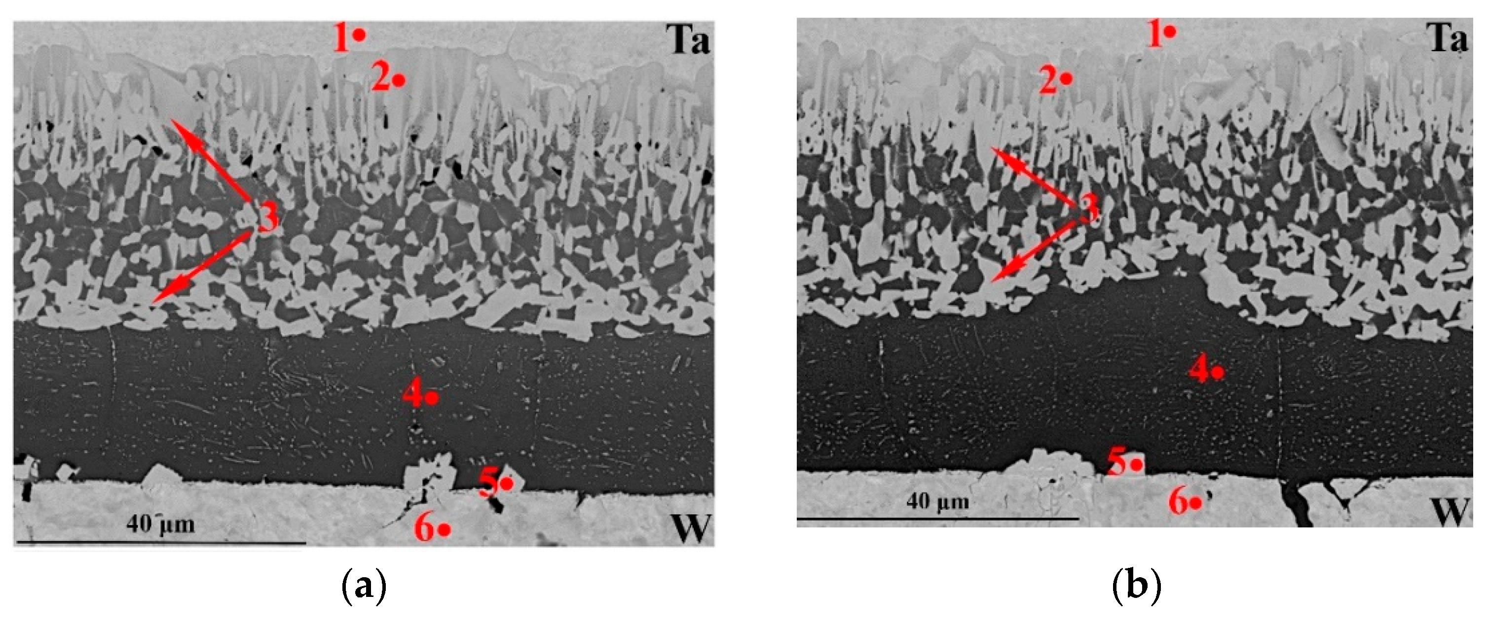 Metals 11 01417 g016