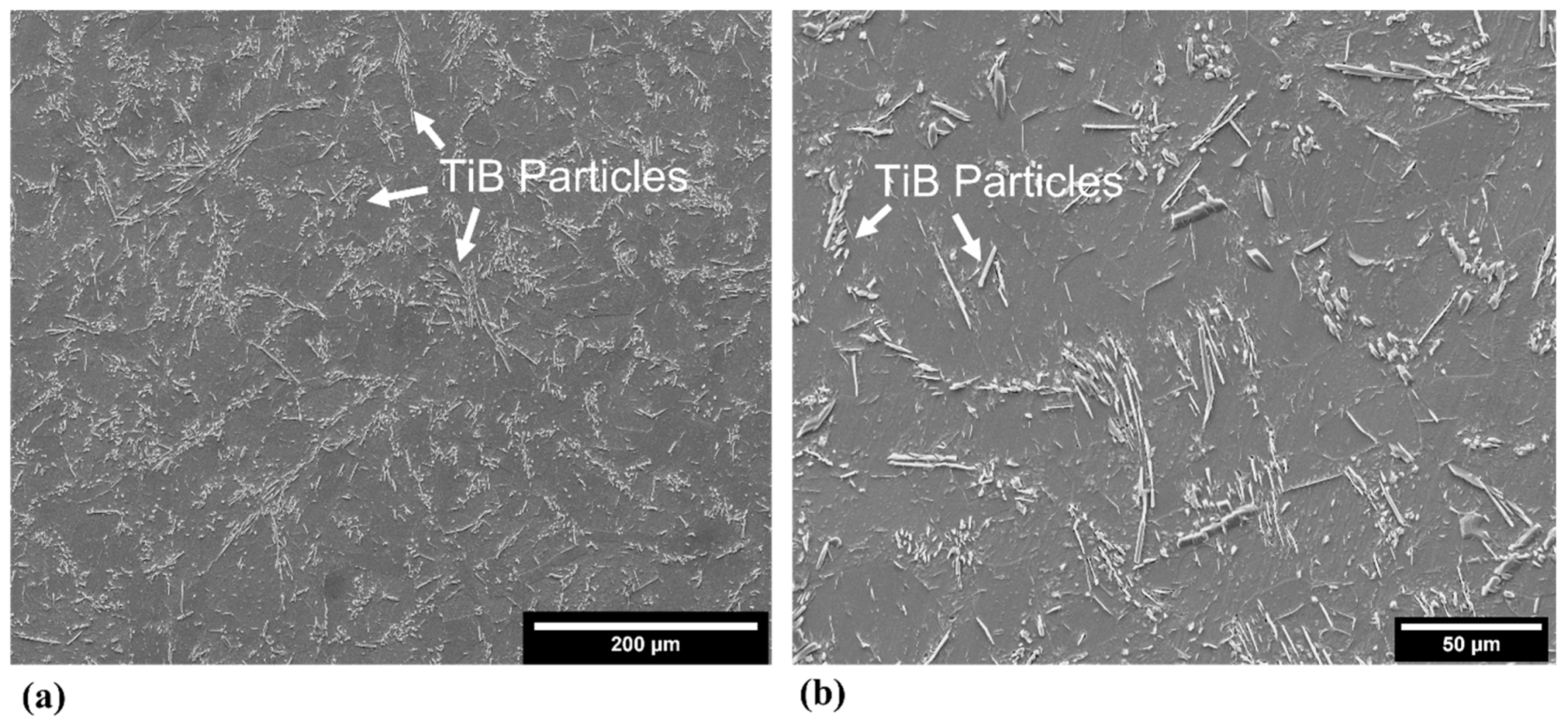 Metals 11 01423 g003 550