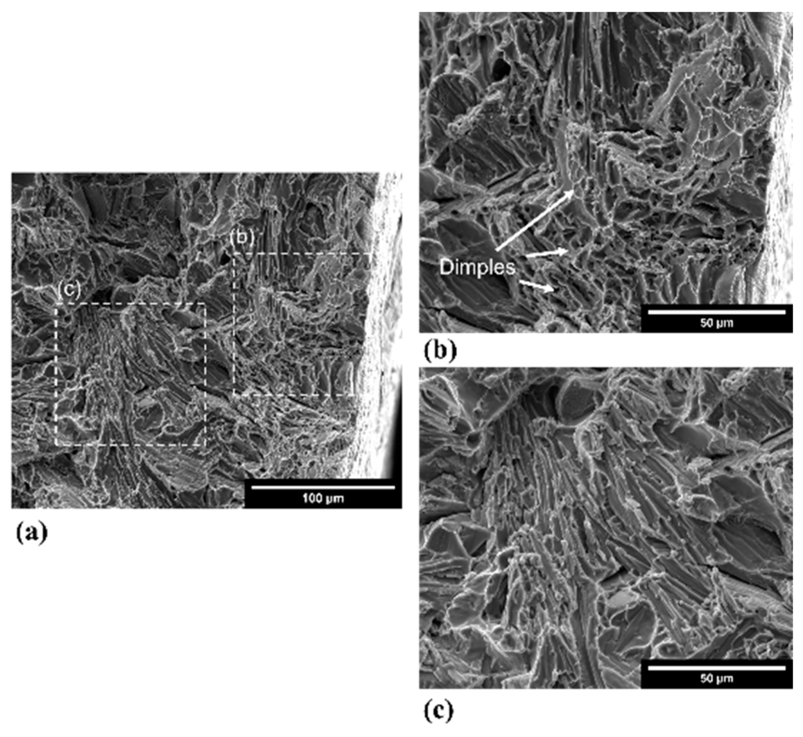Metals 11 01423 g008 550