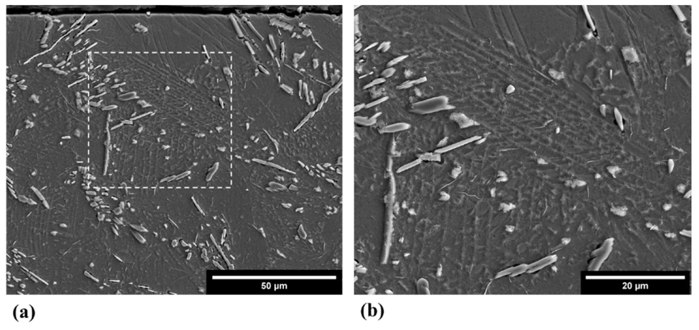 Metals 11 01423 g009 550