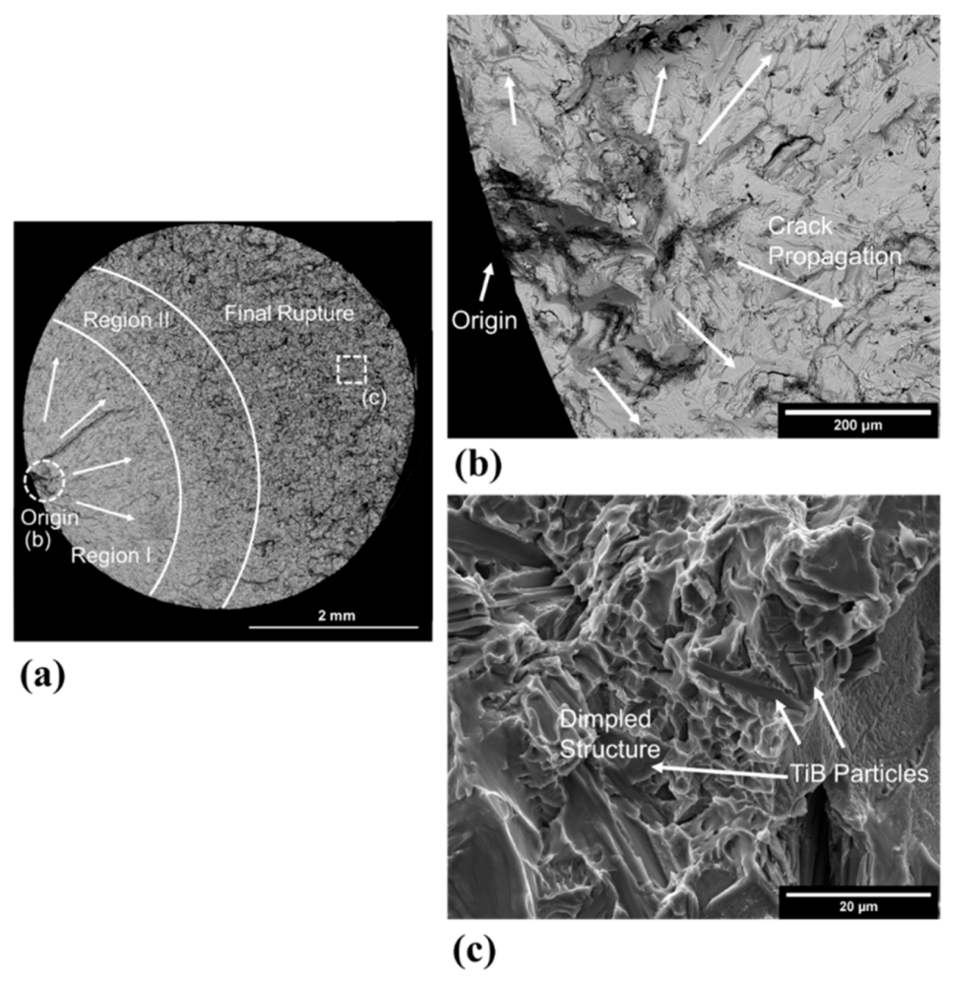 Metals 11 01423 g013 550