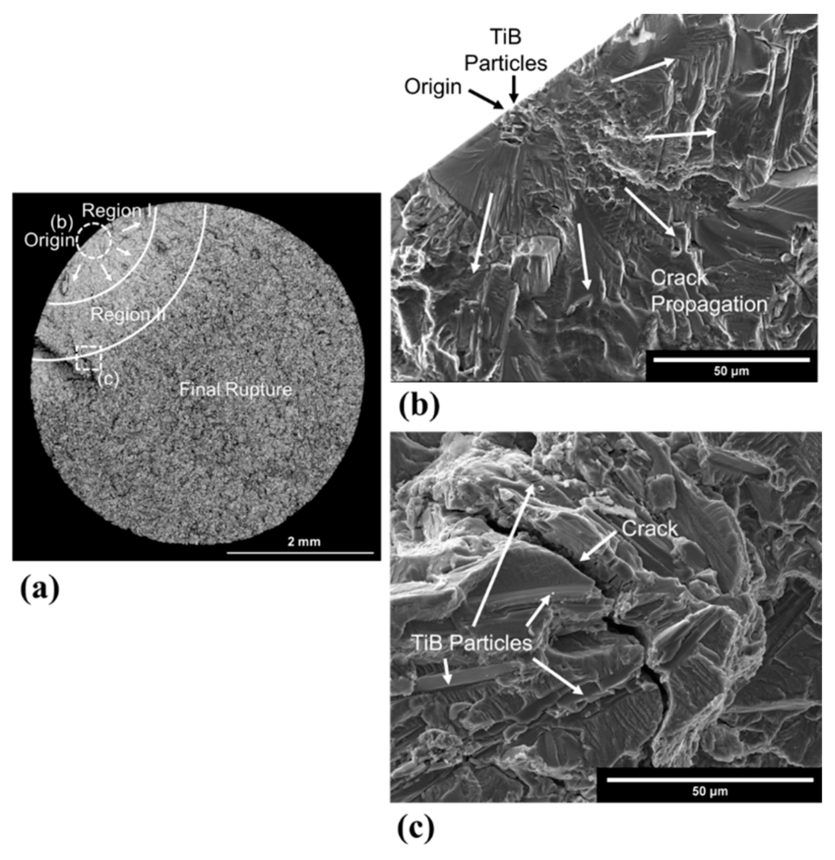 Metals 11 01423 g014 550