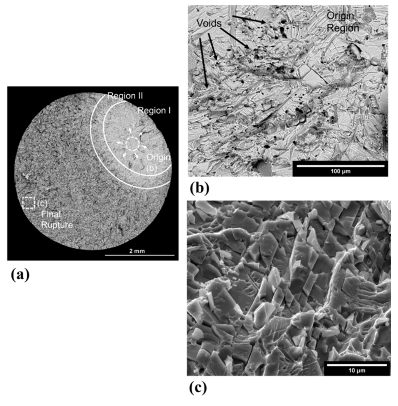 Metals 11 01423 g015 550