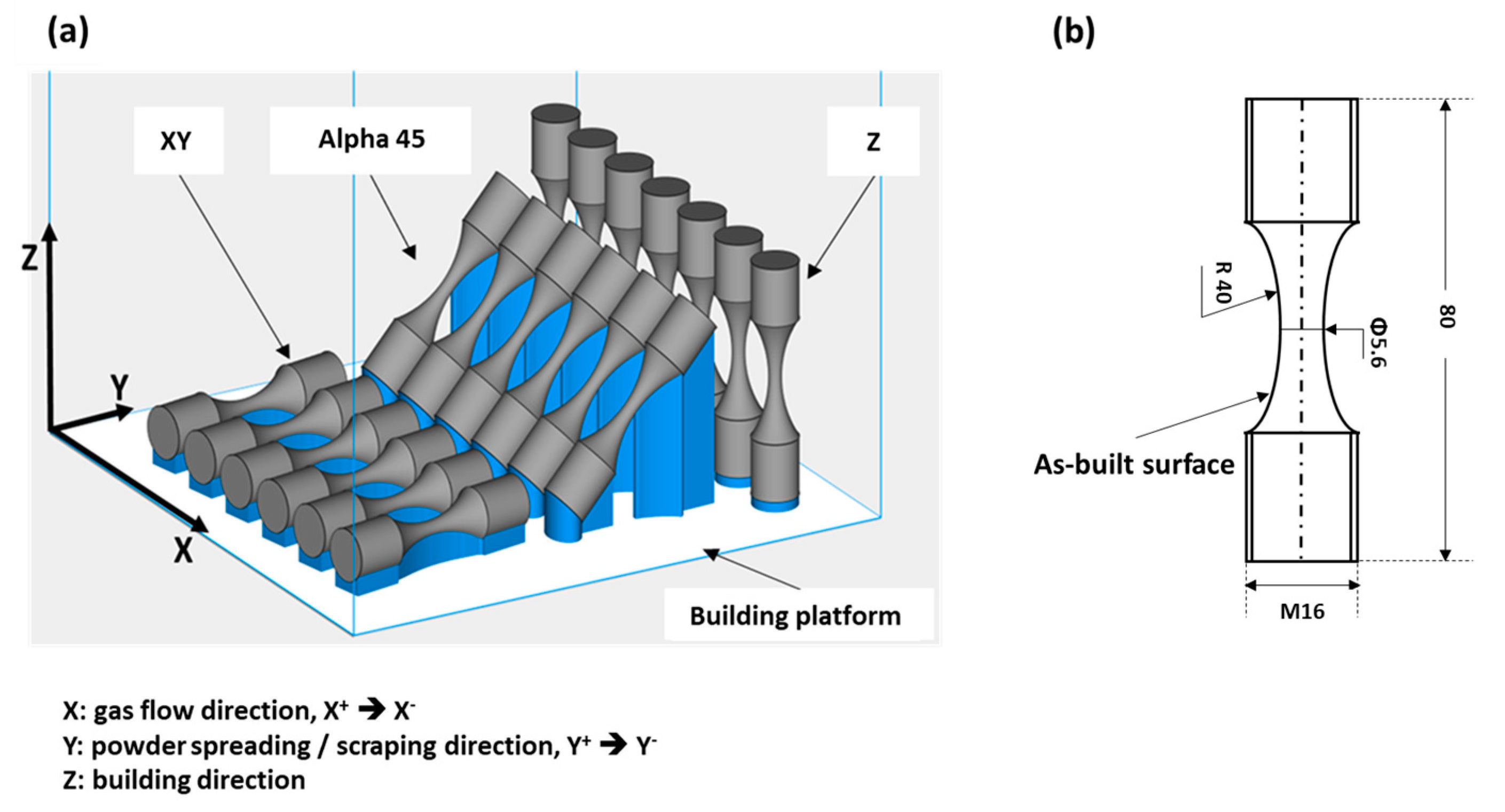 Metals 11 01432 g001