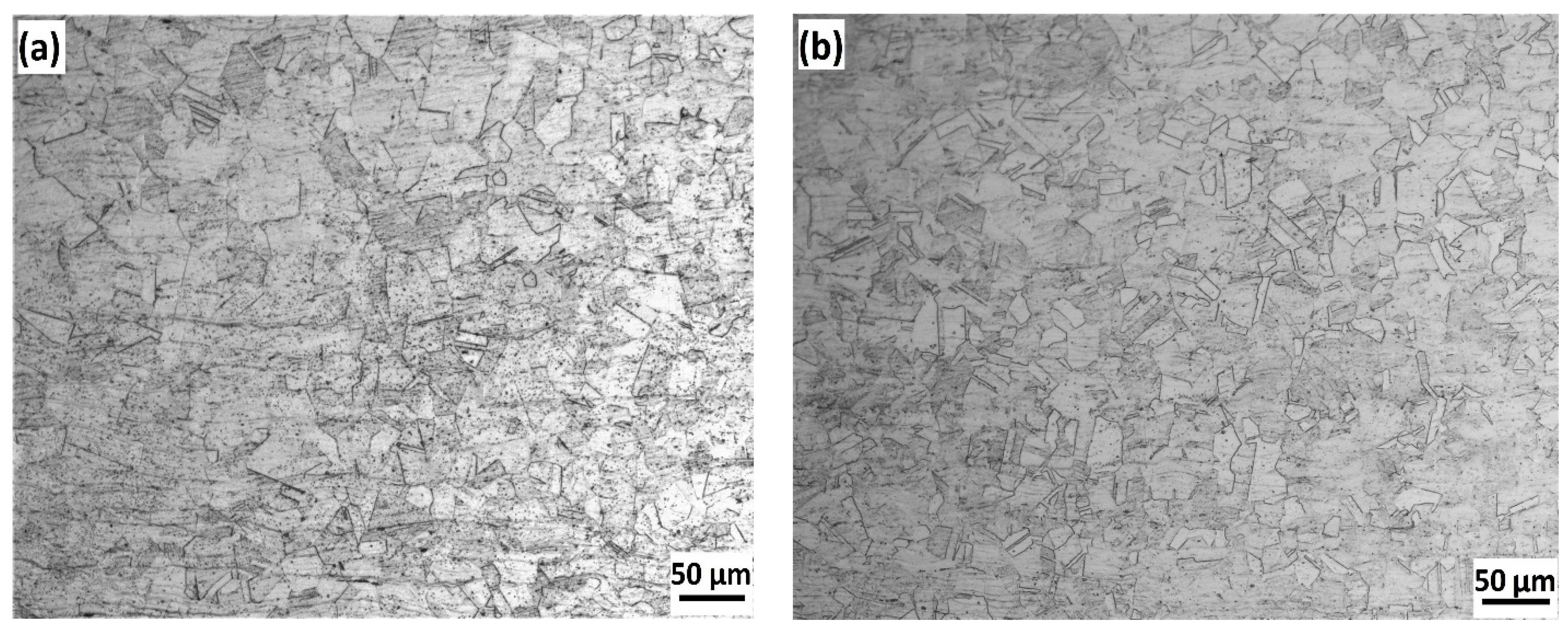 Metals 11 01439 g003 550