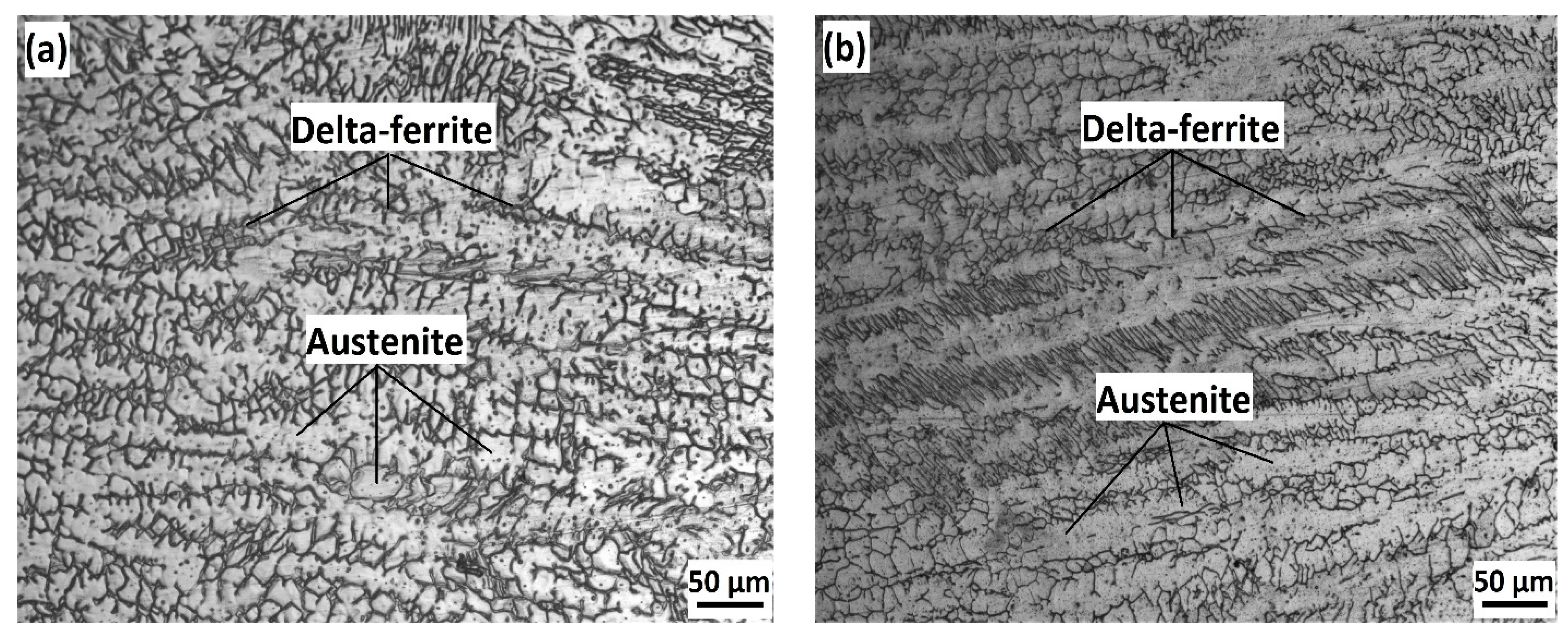 Metals 11 01439 g004 550