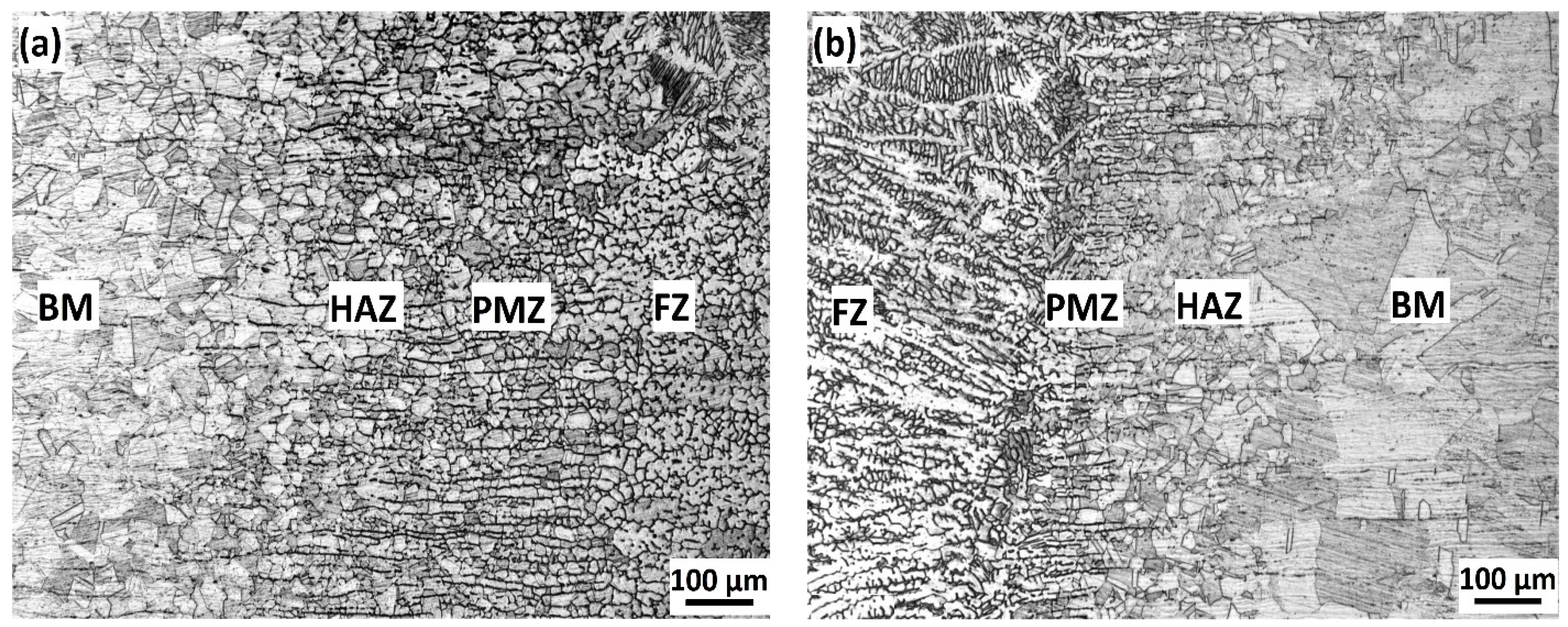 Metals 11 01439 g005 550