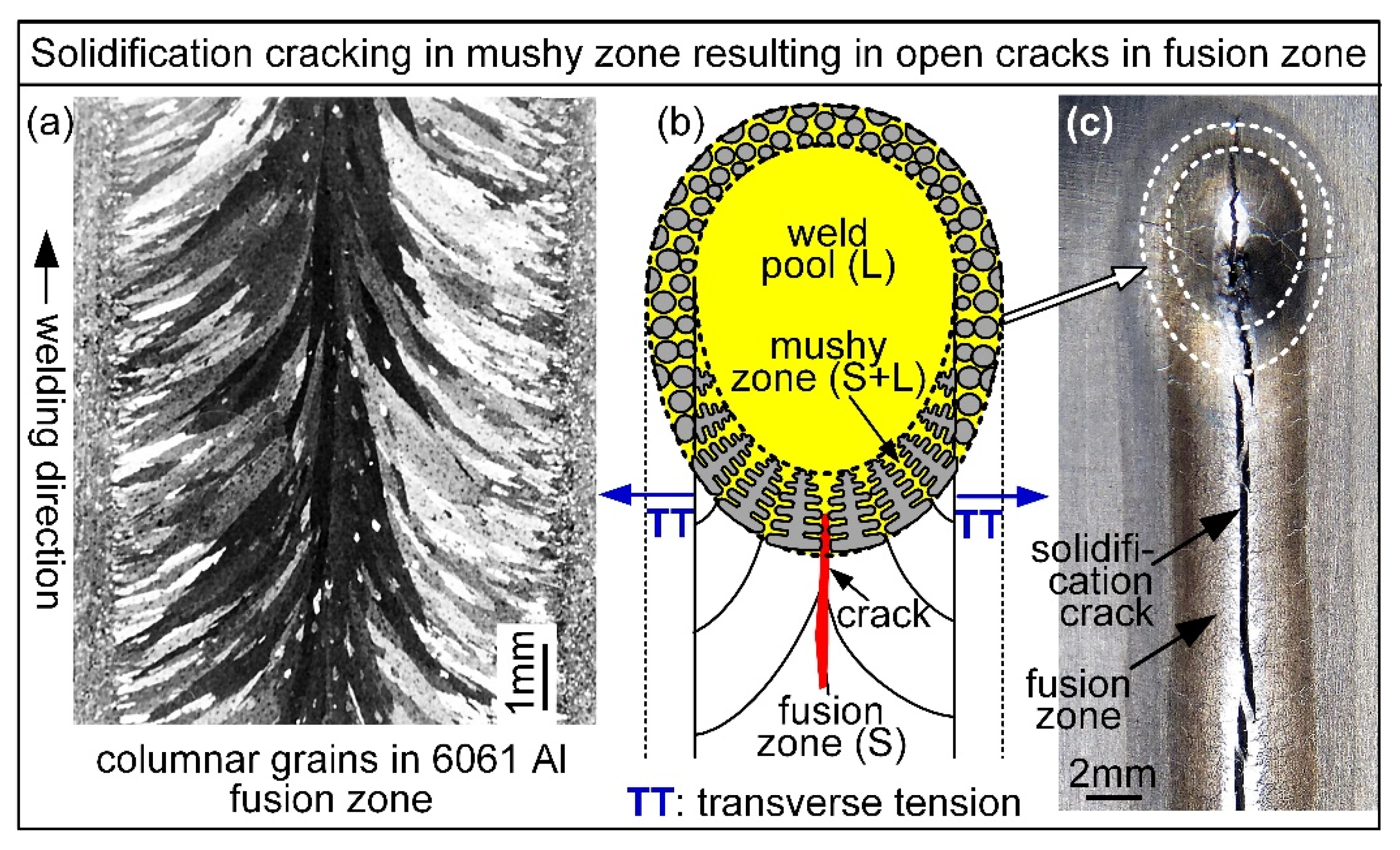 Metals 11 01442 g006
