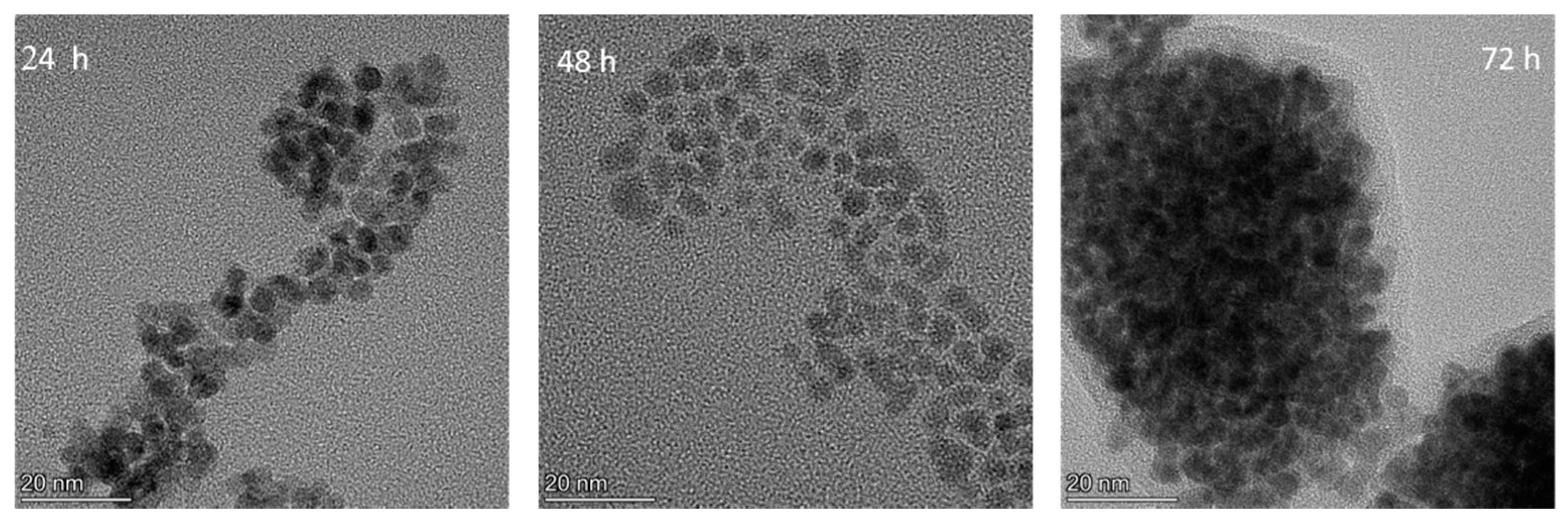 Metals 11 01443 g005 550