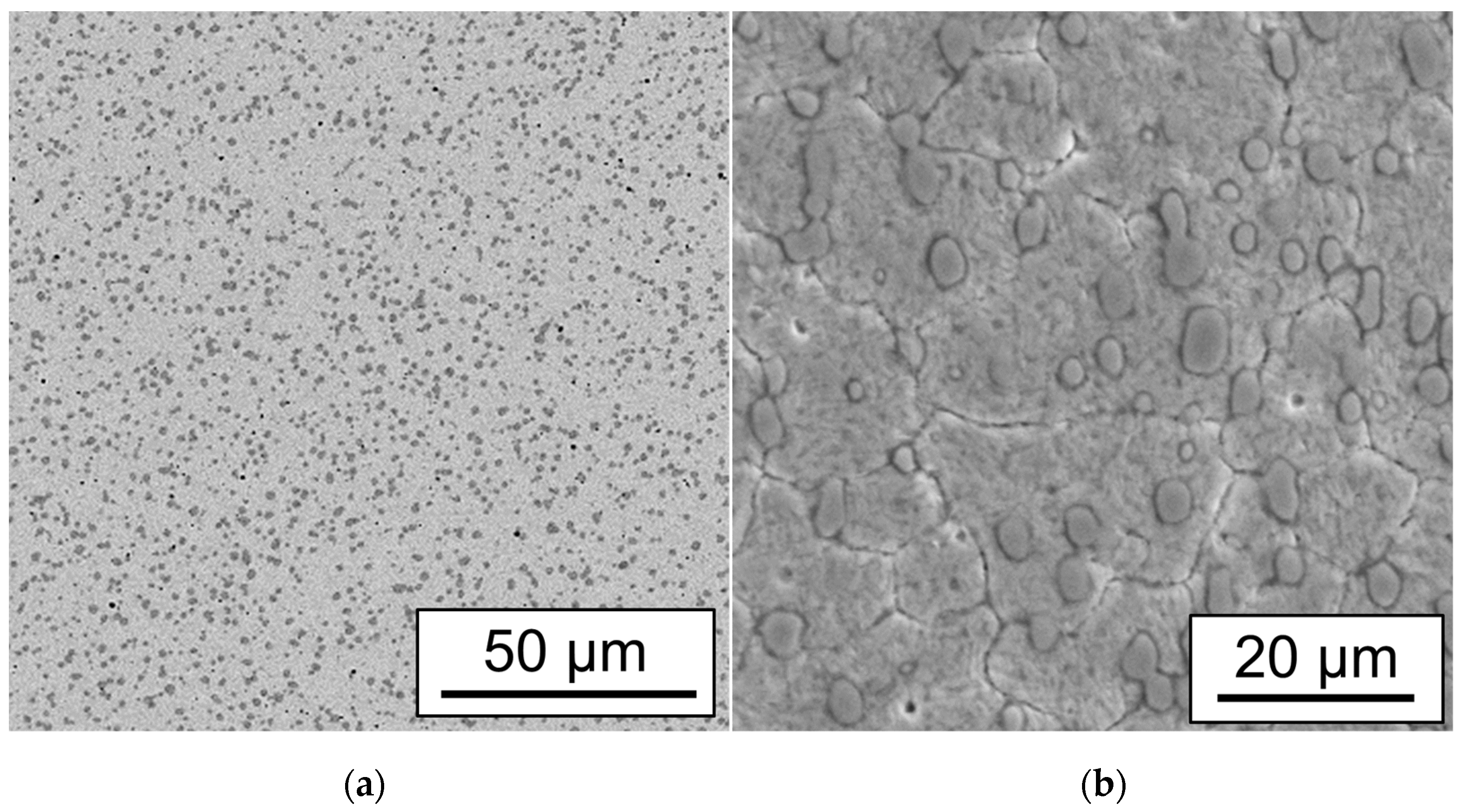 Metals 11 01445 g006