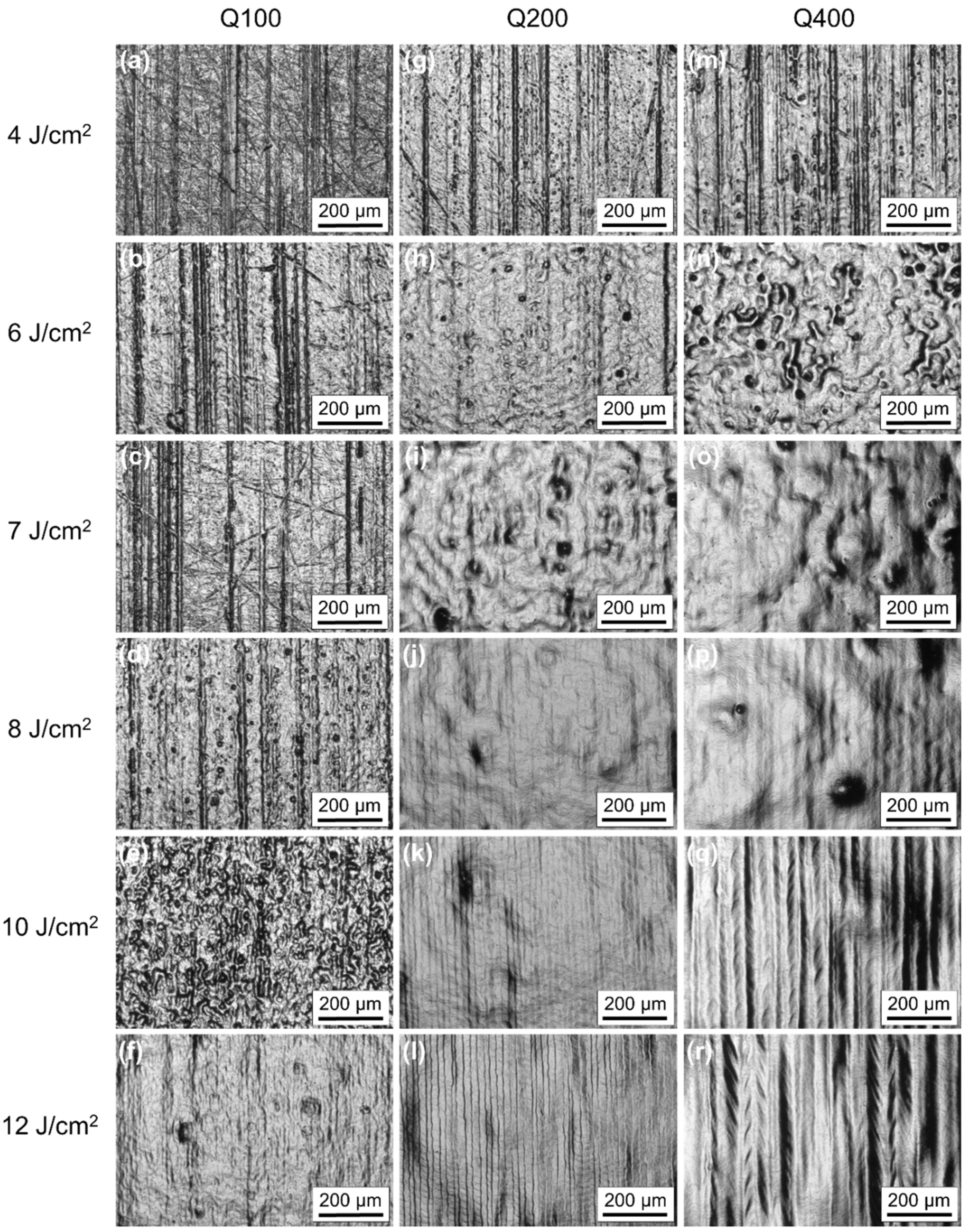Metals 11 01445 g007