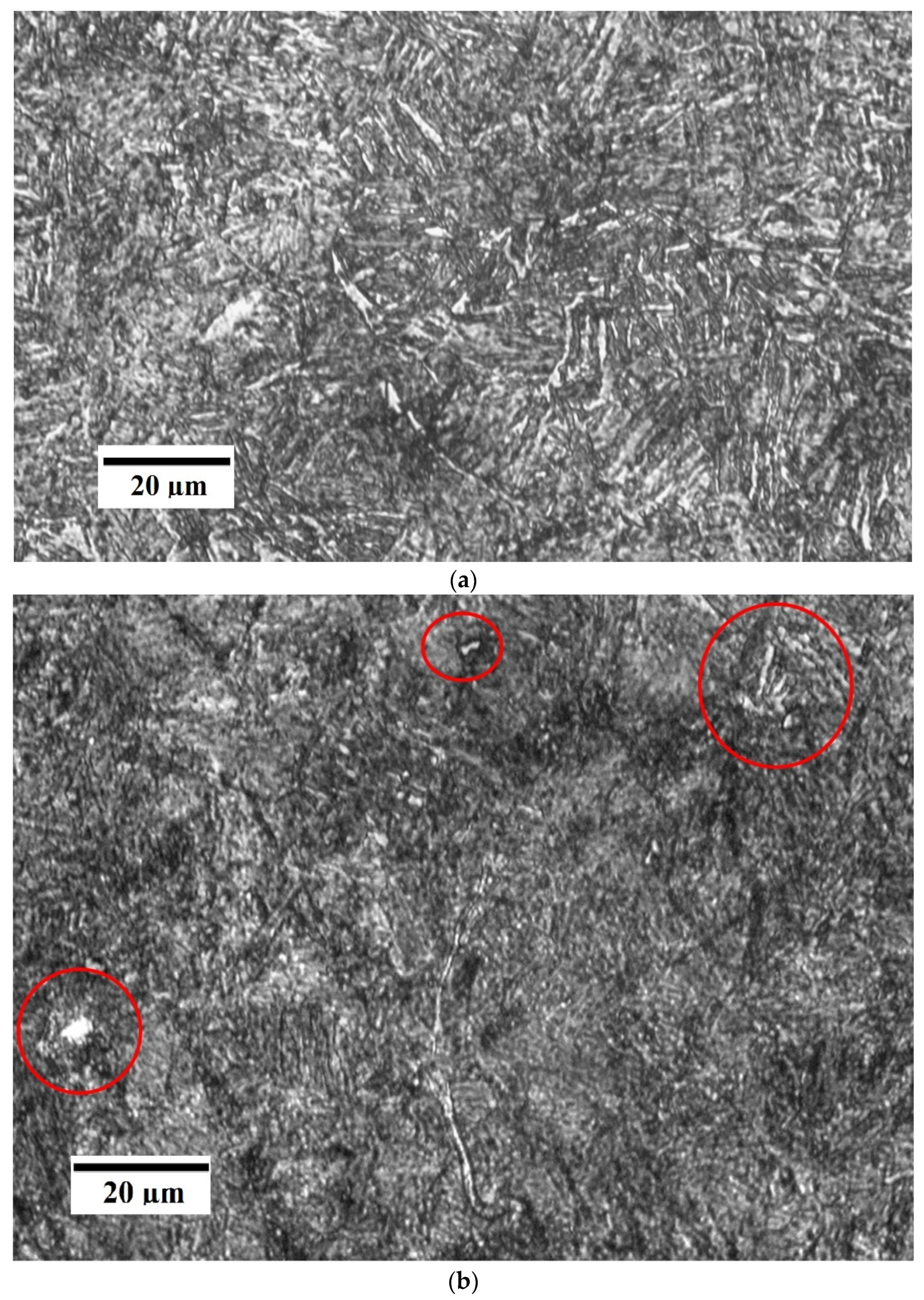Metals 11 01455 g005a