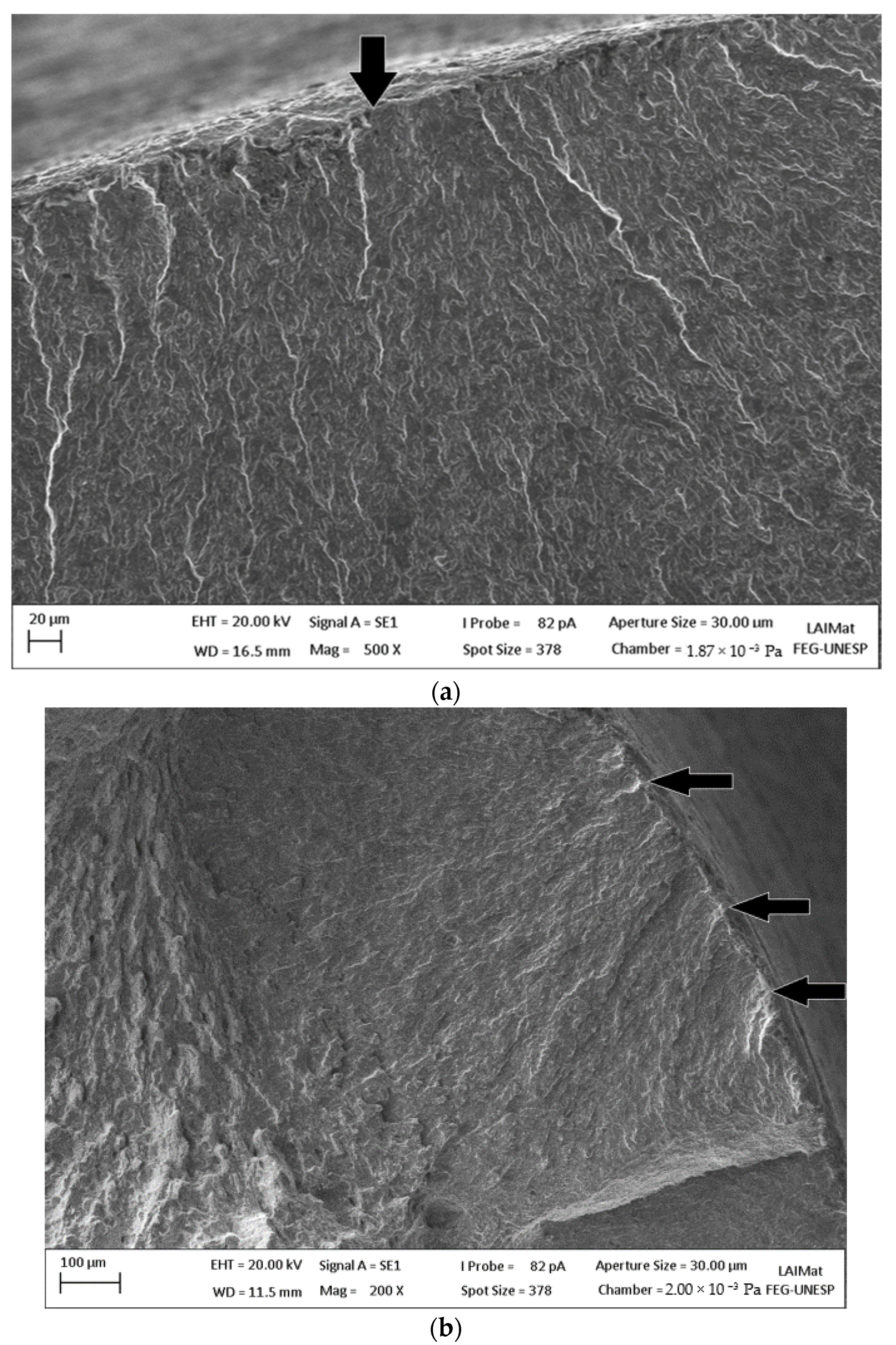 Metals 11 01455 g021
