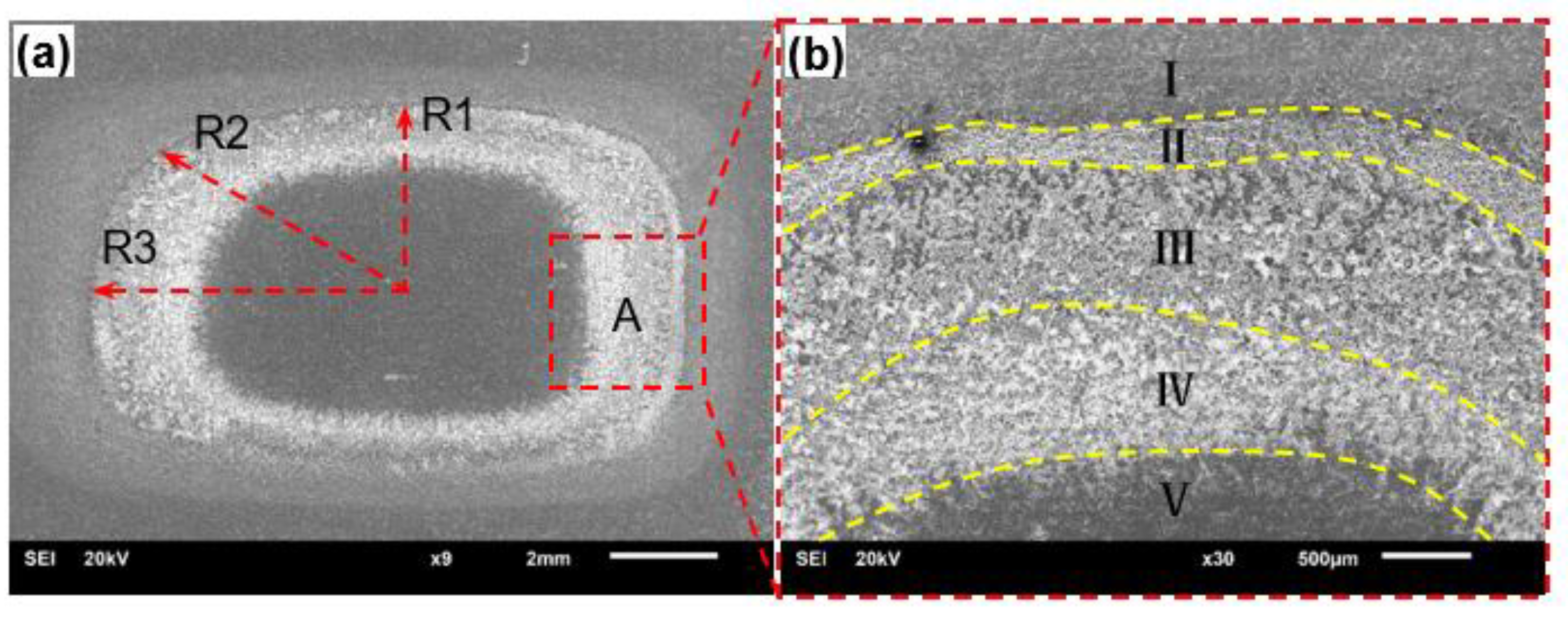 Metals 11 01468 g002